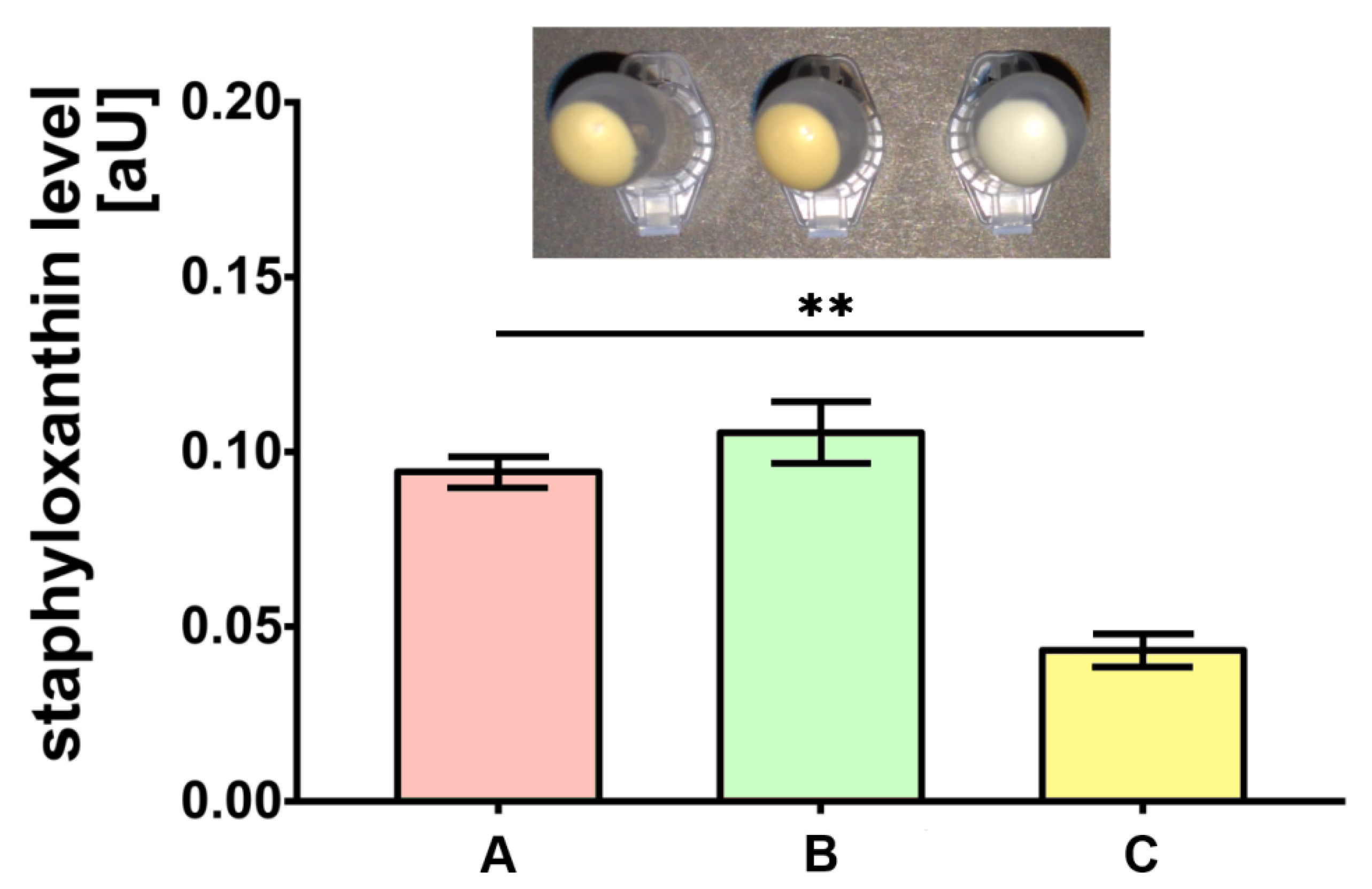 Ijms 21 04178 g001 Ijms 21 04178 g001