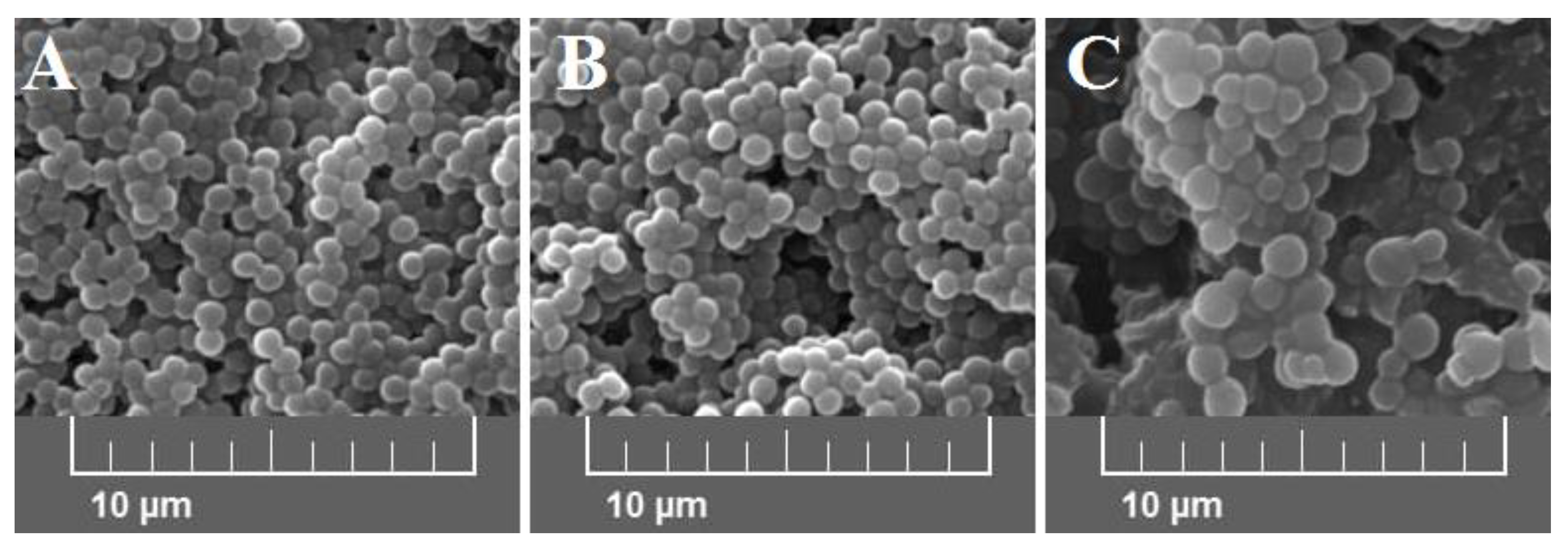 Ijms 21 04178 g003 Ijms 21 04178 g003