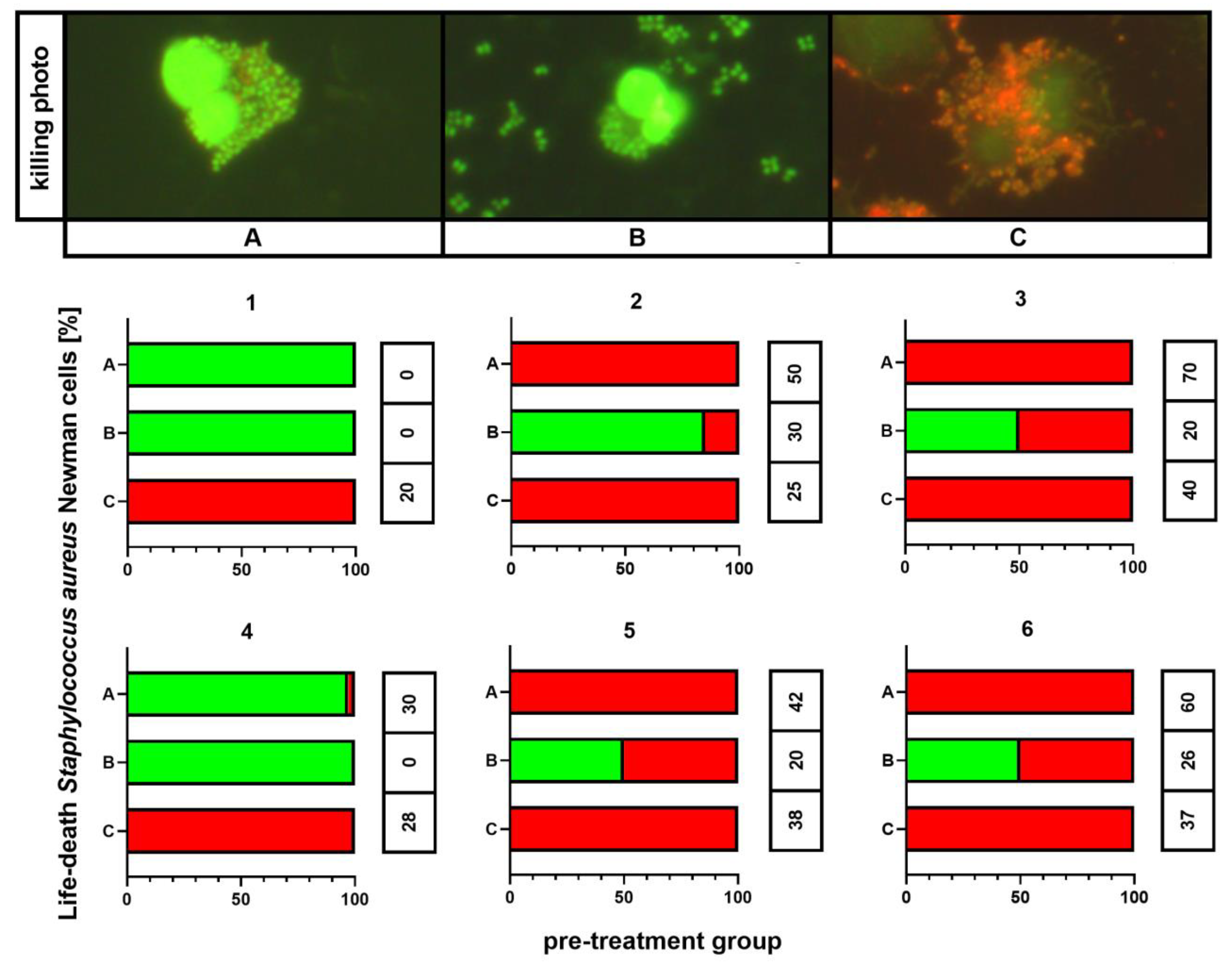 Ijms 21 04178 g005 Ijms 21 04178 g005