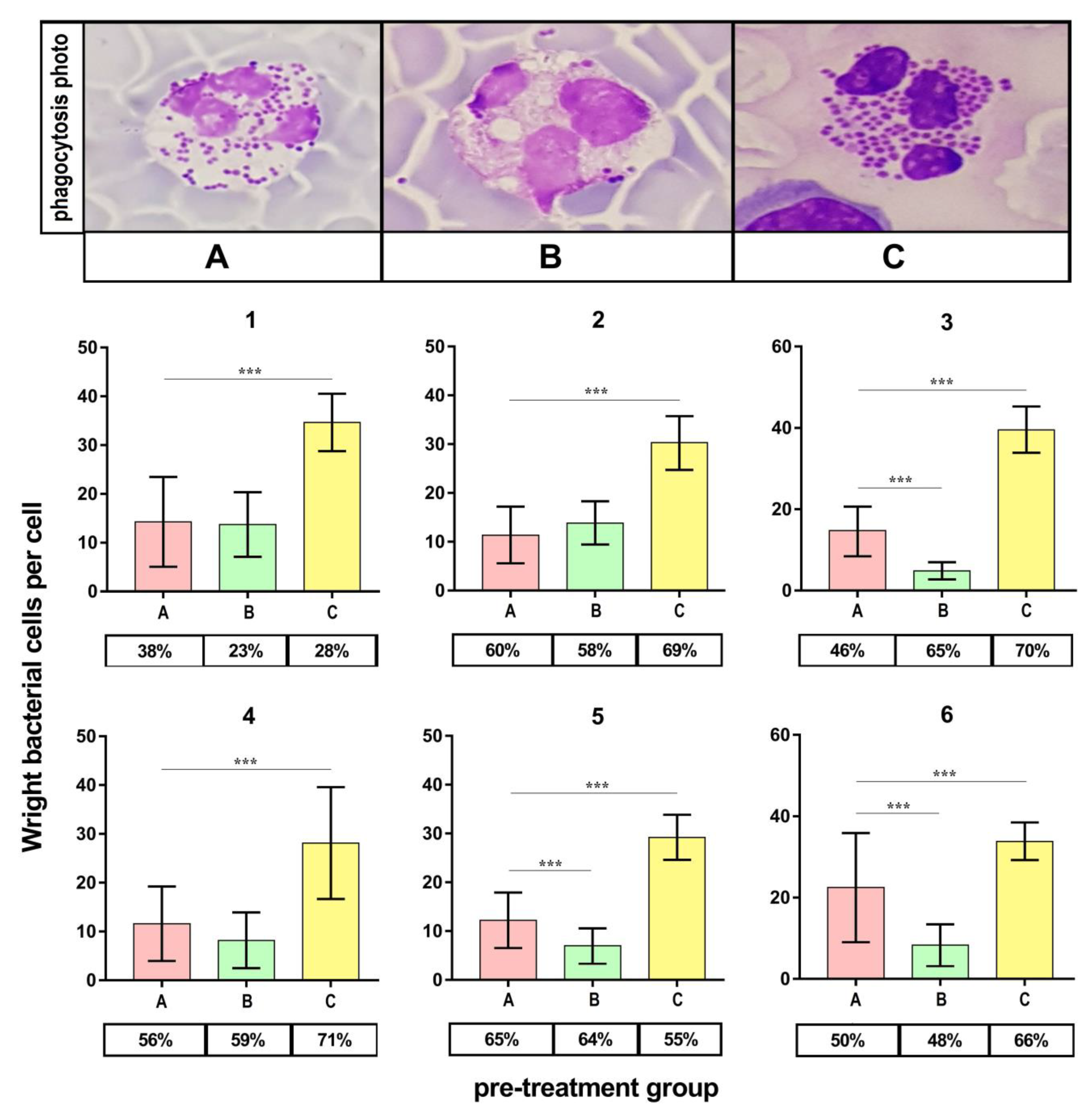 Ijms 21 04178 g006 Ijms 21 04178 g006
