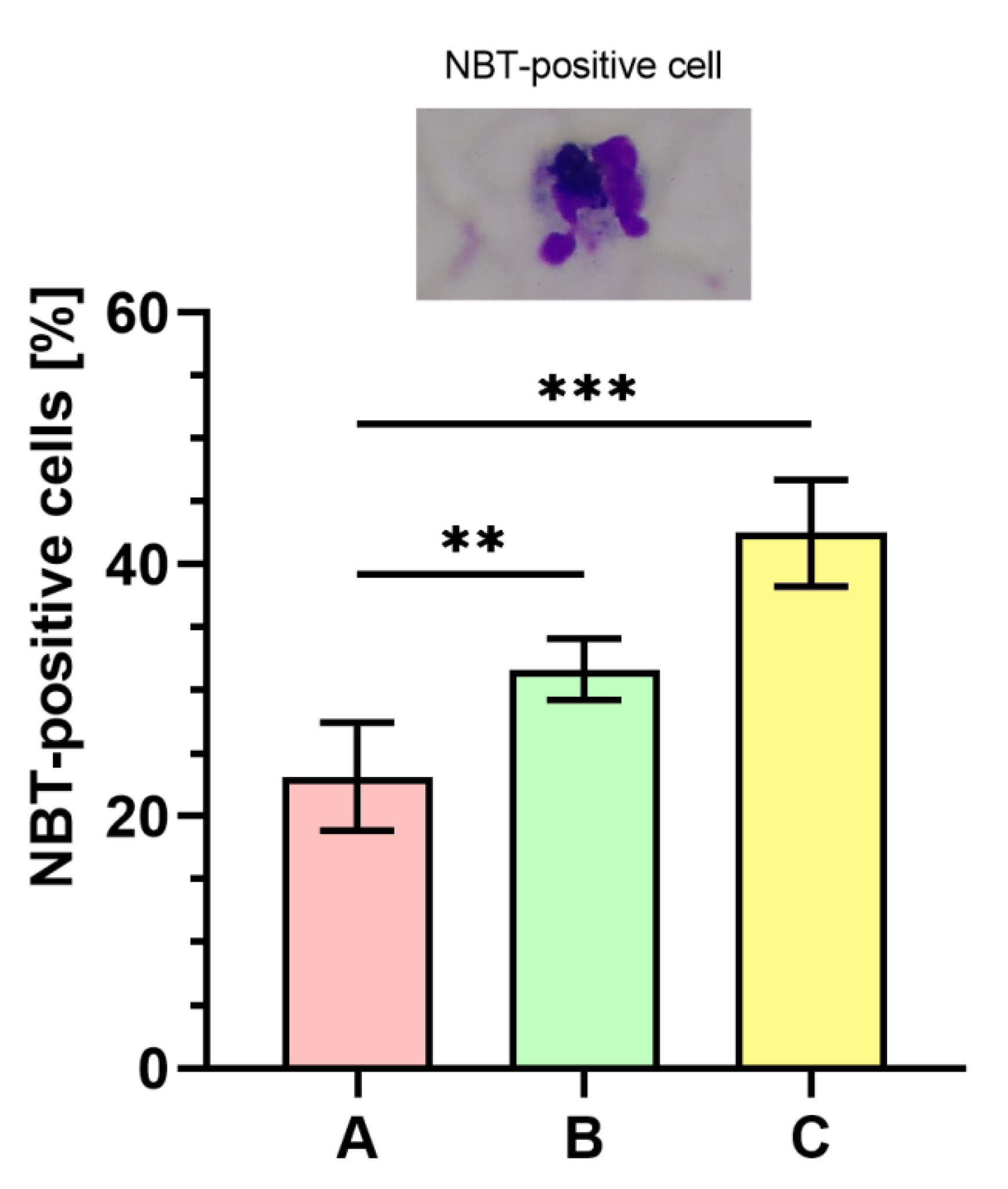 Ijms 21 04178 g007 Ijms 21 04178 g007