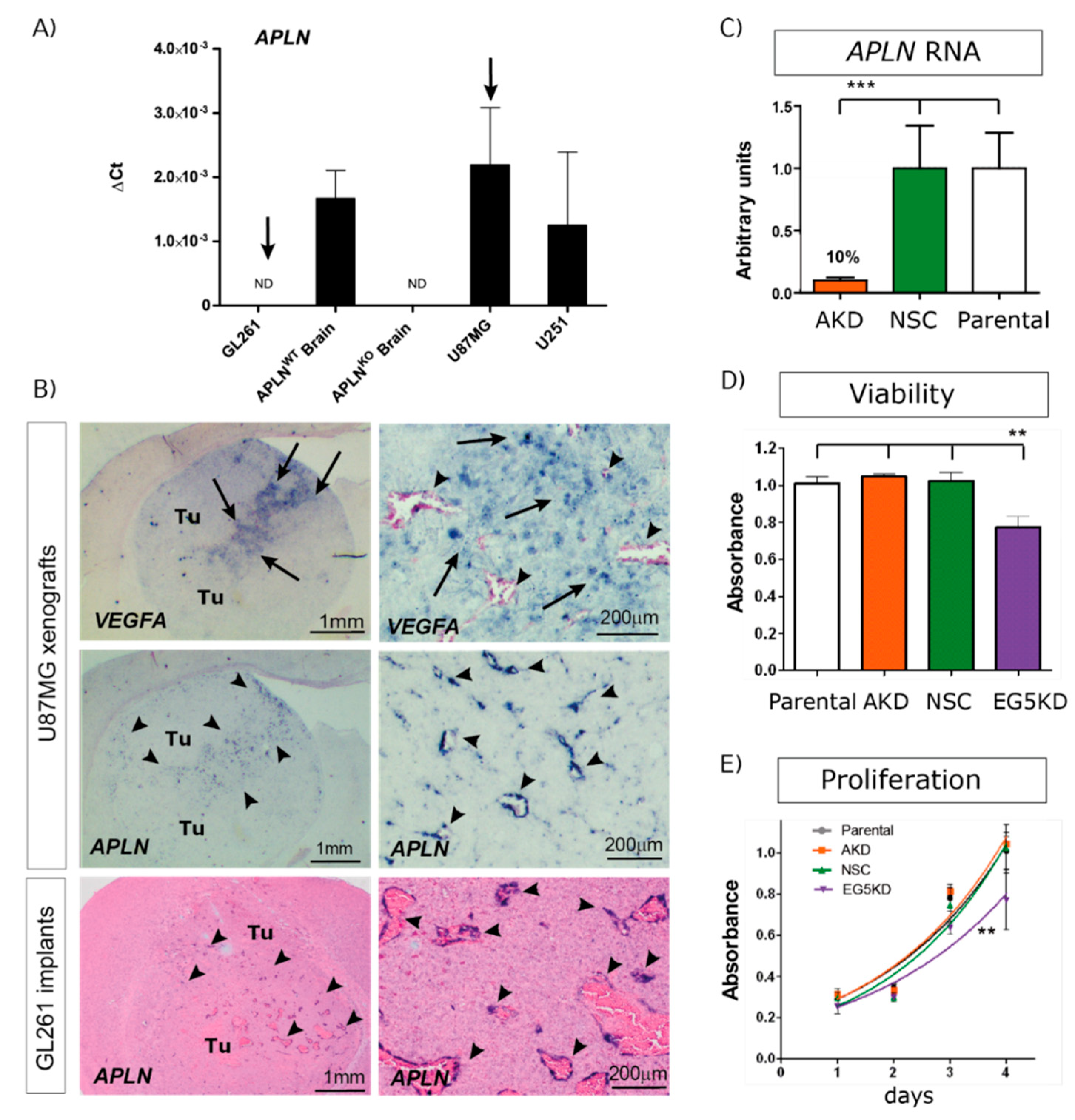 Ijms 21 04179 g001 Ijms 21 04179 g001