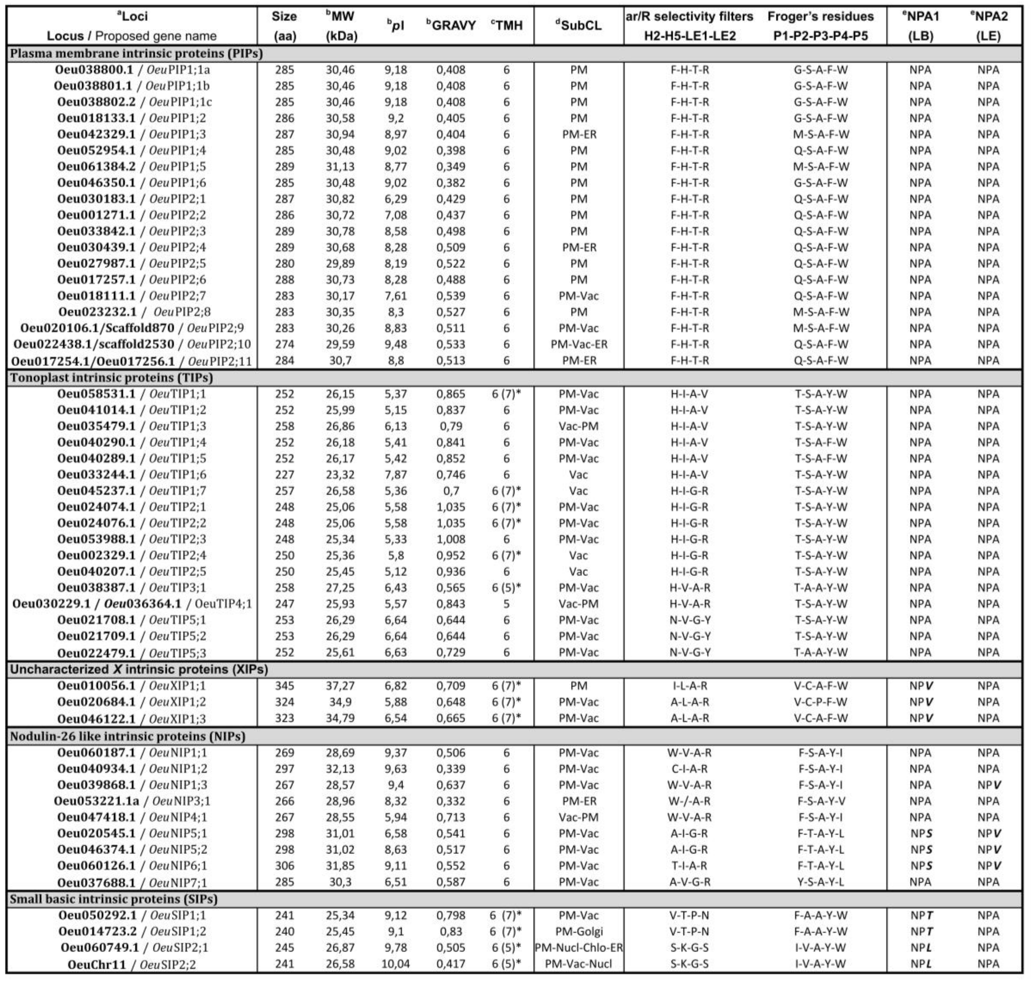 Ijms 21 04183 g003 Ijms 21 04183 g003