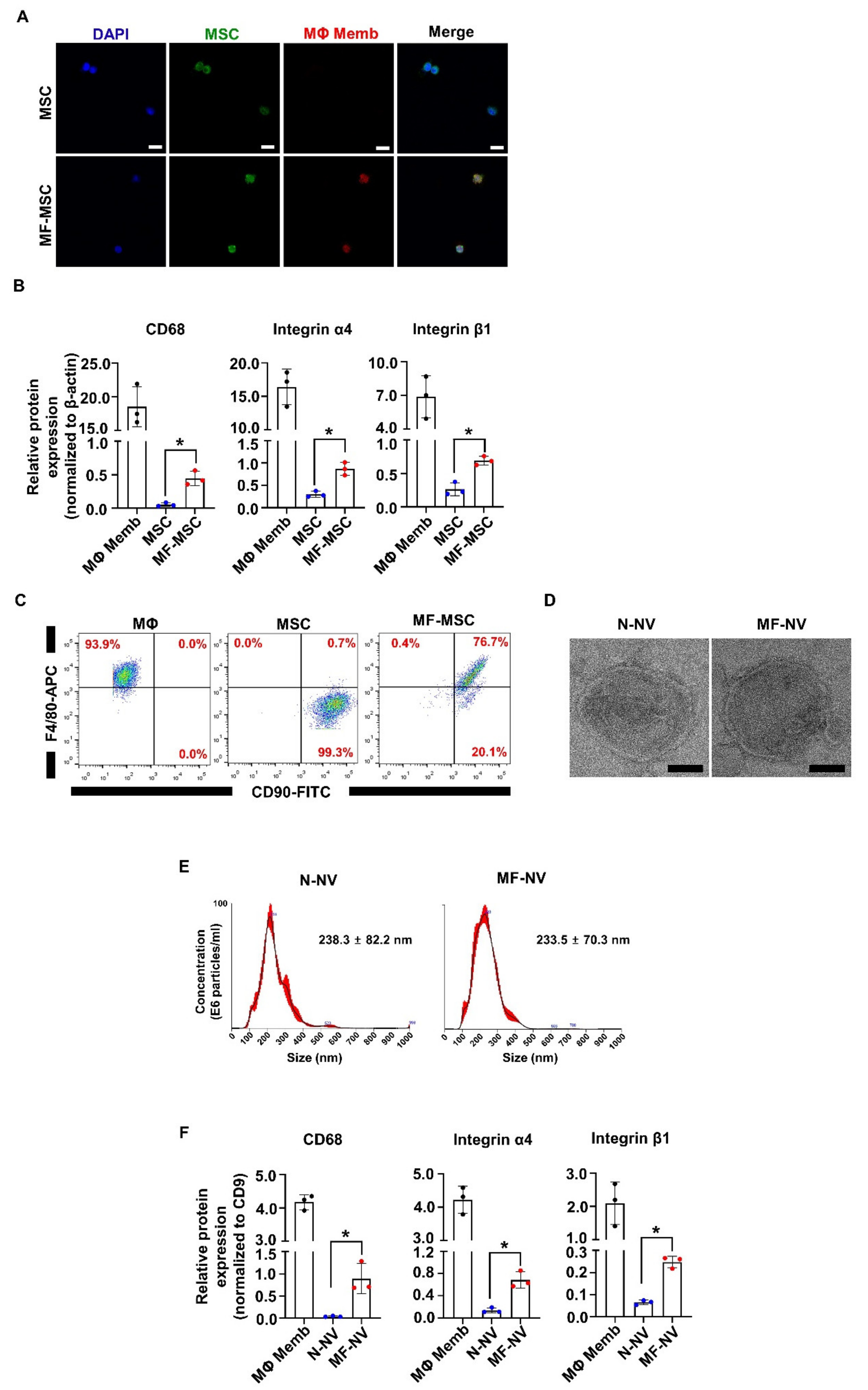Ijms 21 04185 g002 Ijms 21 04185 g002