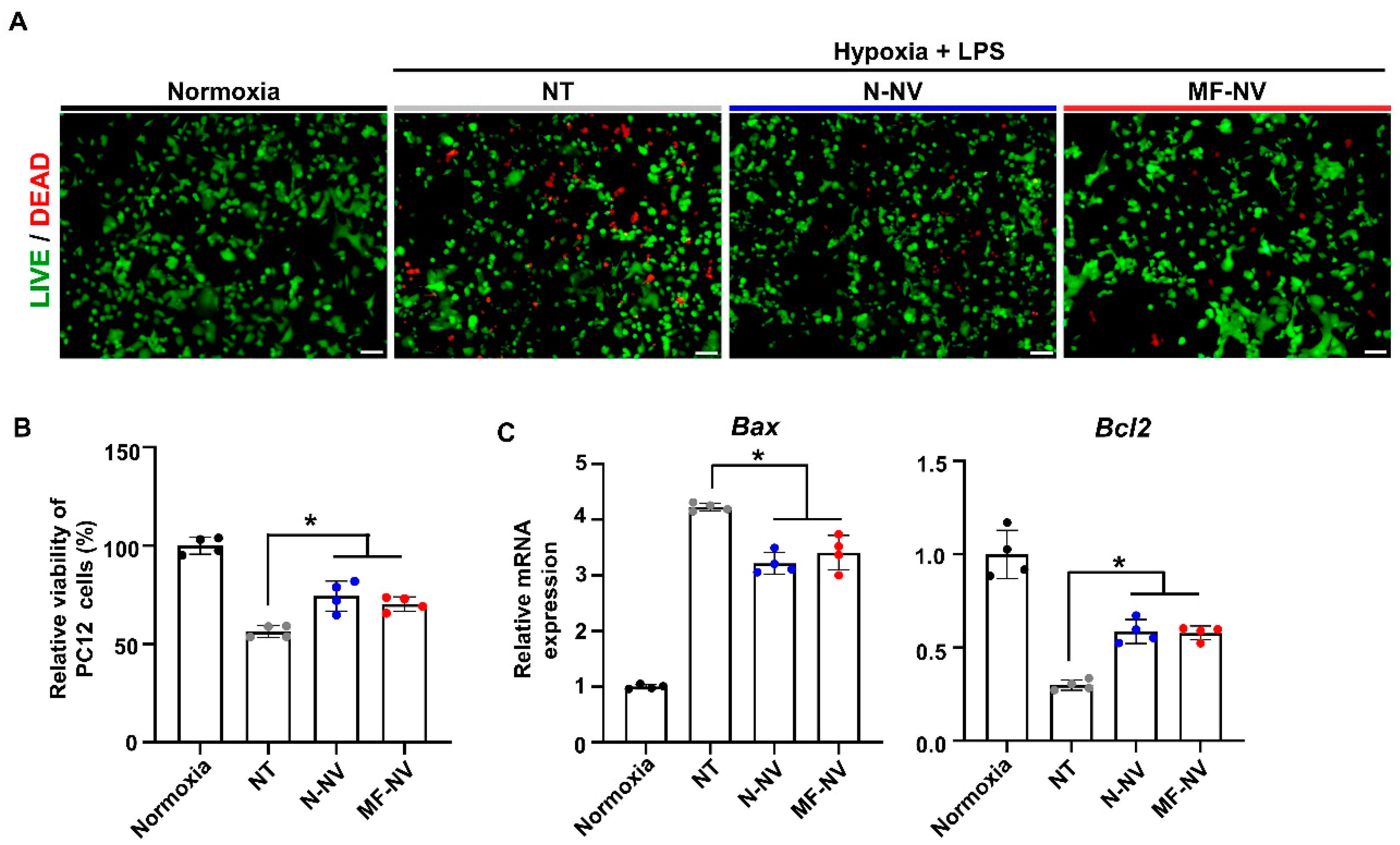Ijms 21 04185 g003 Ijms 21 04185 g003