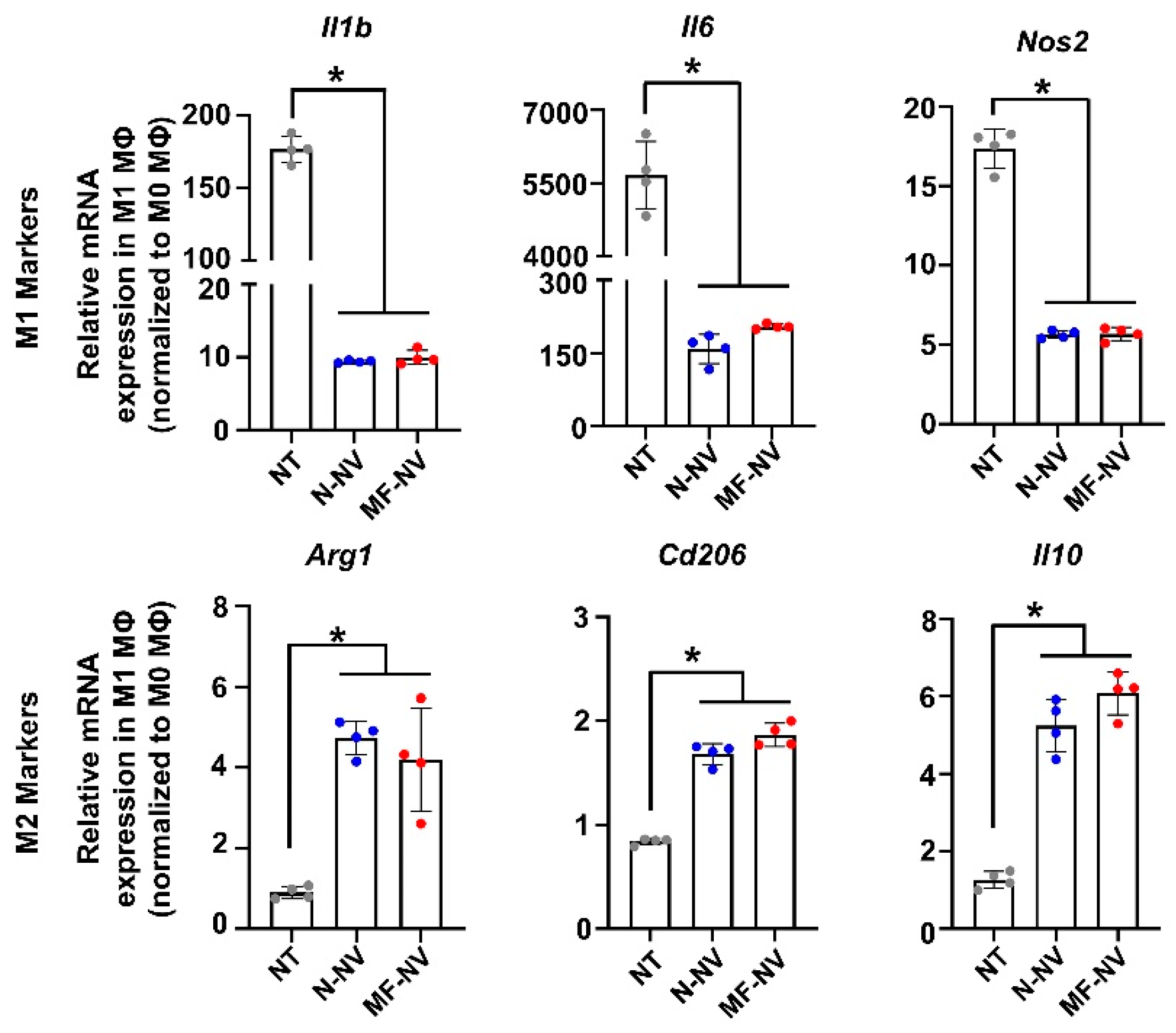 Ijms 21 04185 g004 Ijms 21 04185 g004