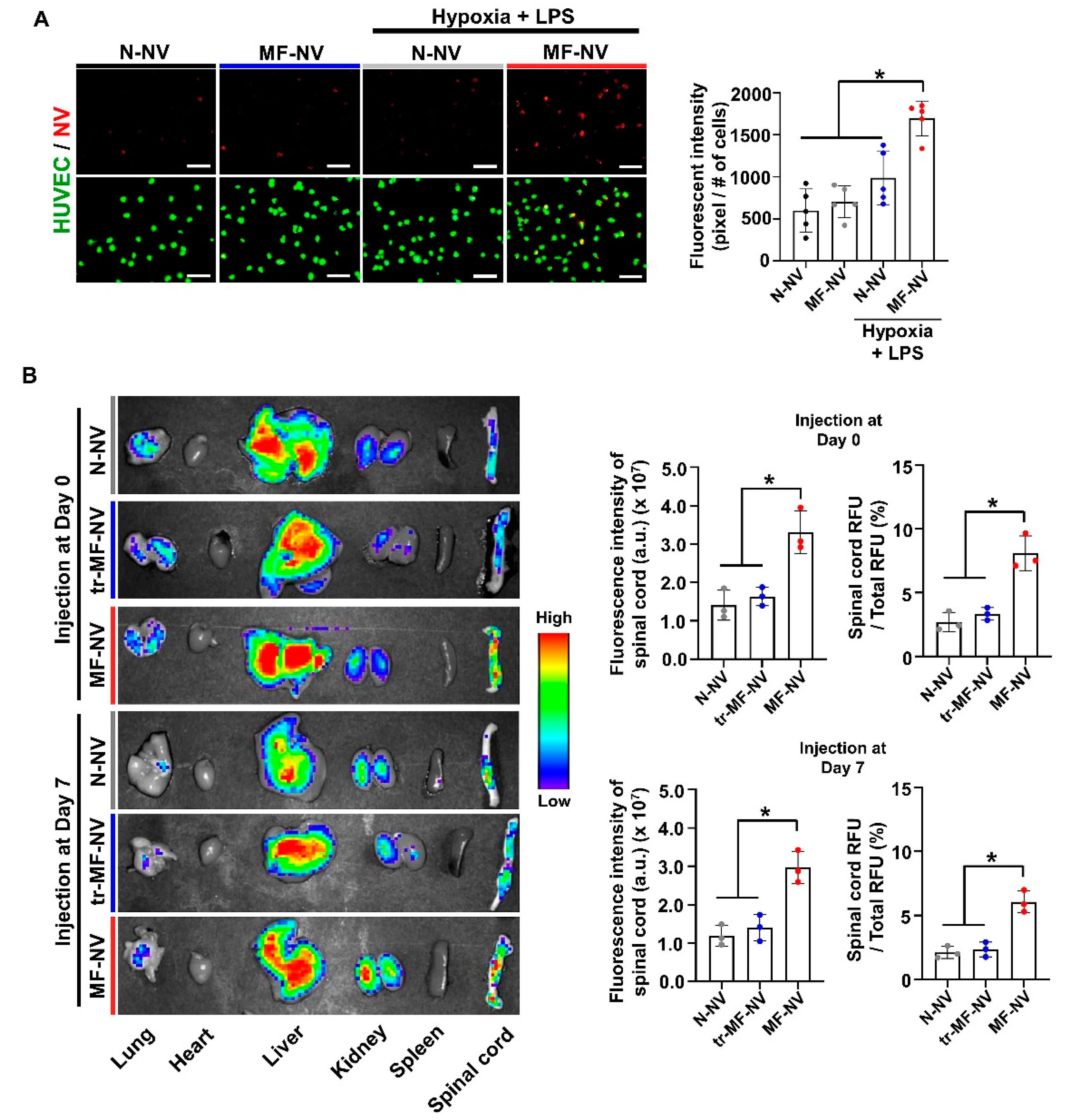 Ijms 21 04185 g006 Ijms 21 04185 g006