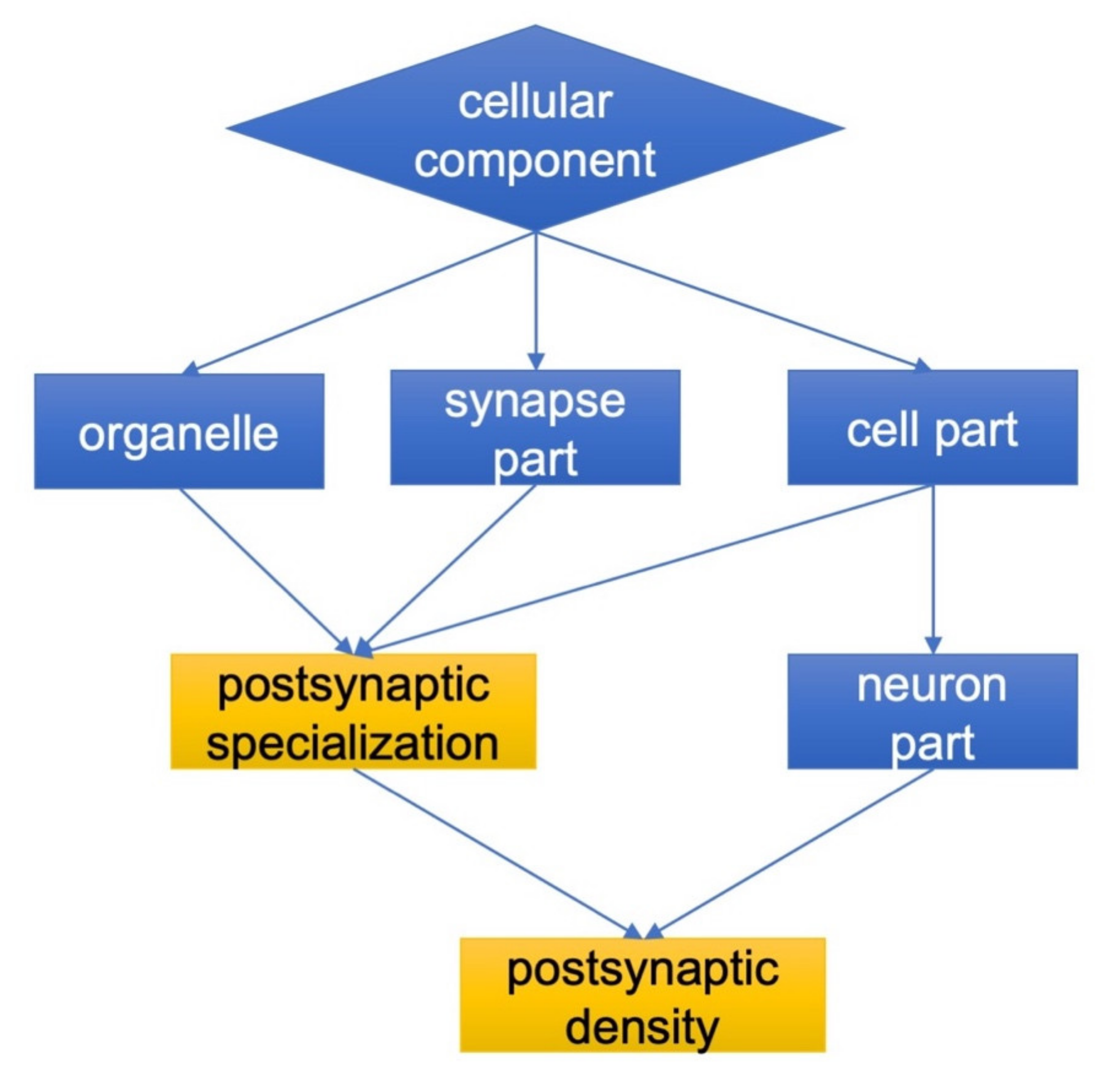 Ijms 21 04187 g002 Ijms 21 04187 g002