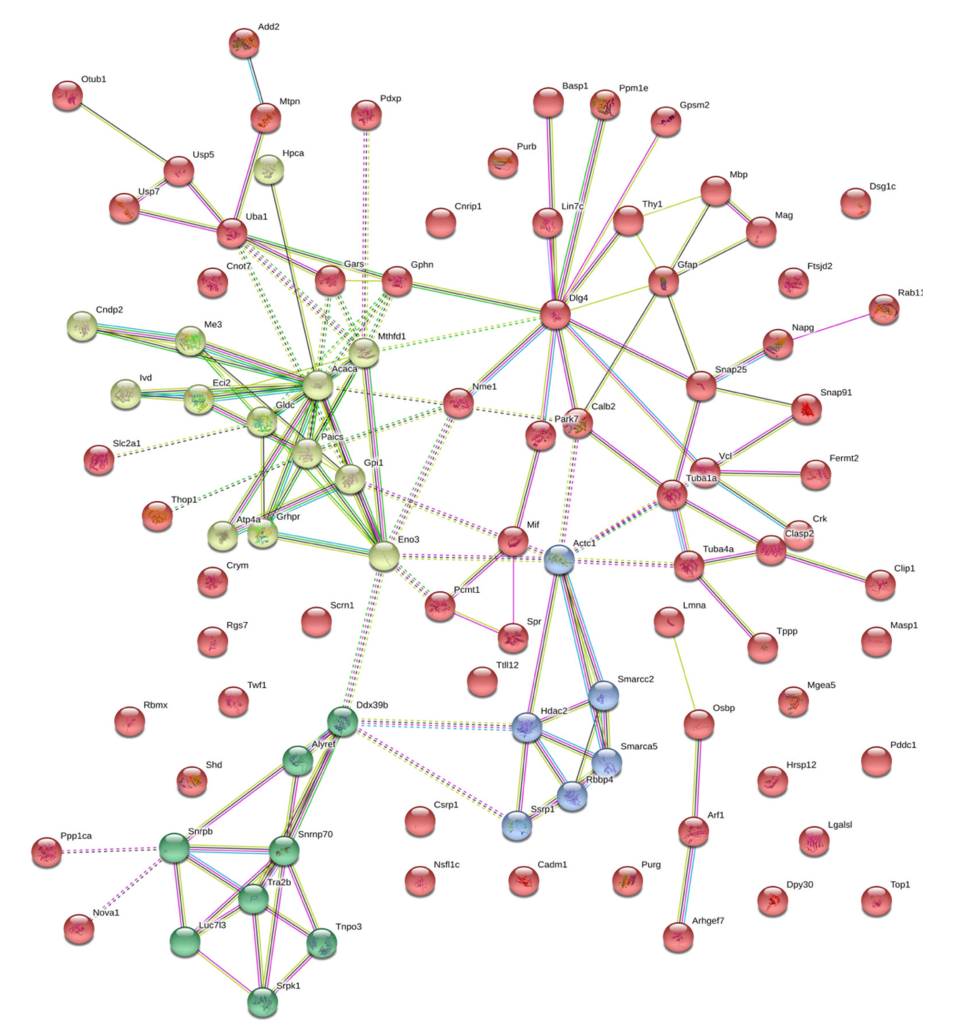 Ijms 21 04187 g004 Ijms 21 04187 g004