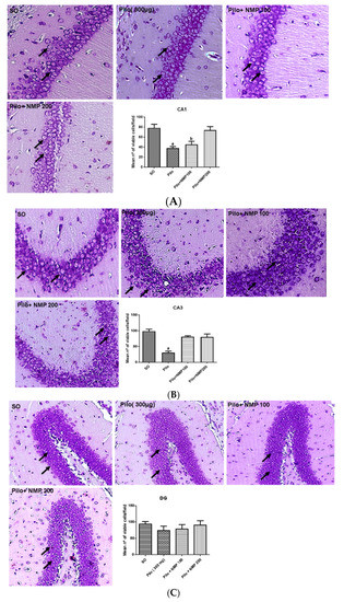 IJMS  June-1 2020 - Browse Articles
