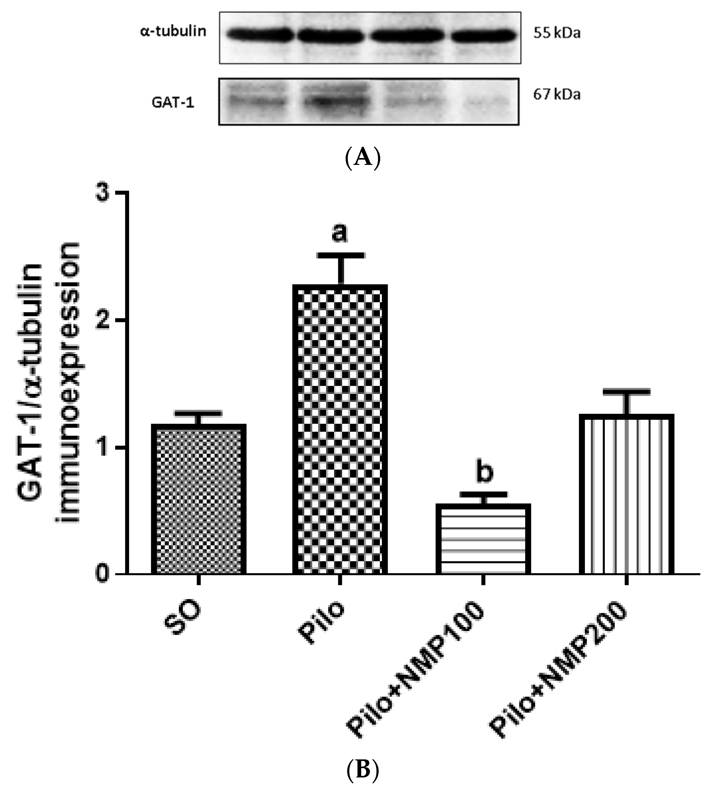Ijms 21 04188 g008 Ijms 21 04188 g008