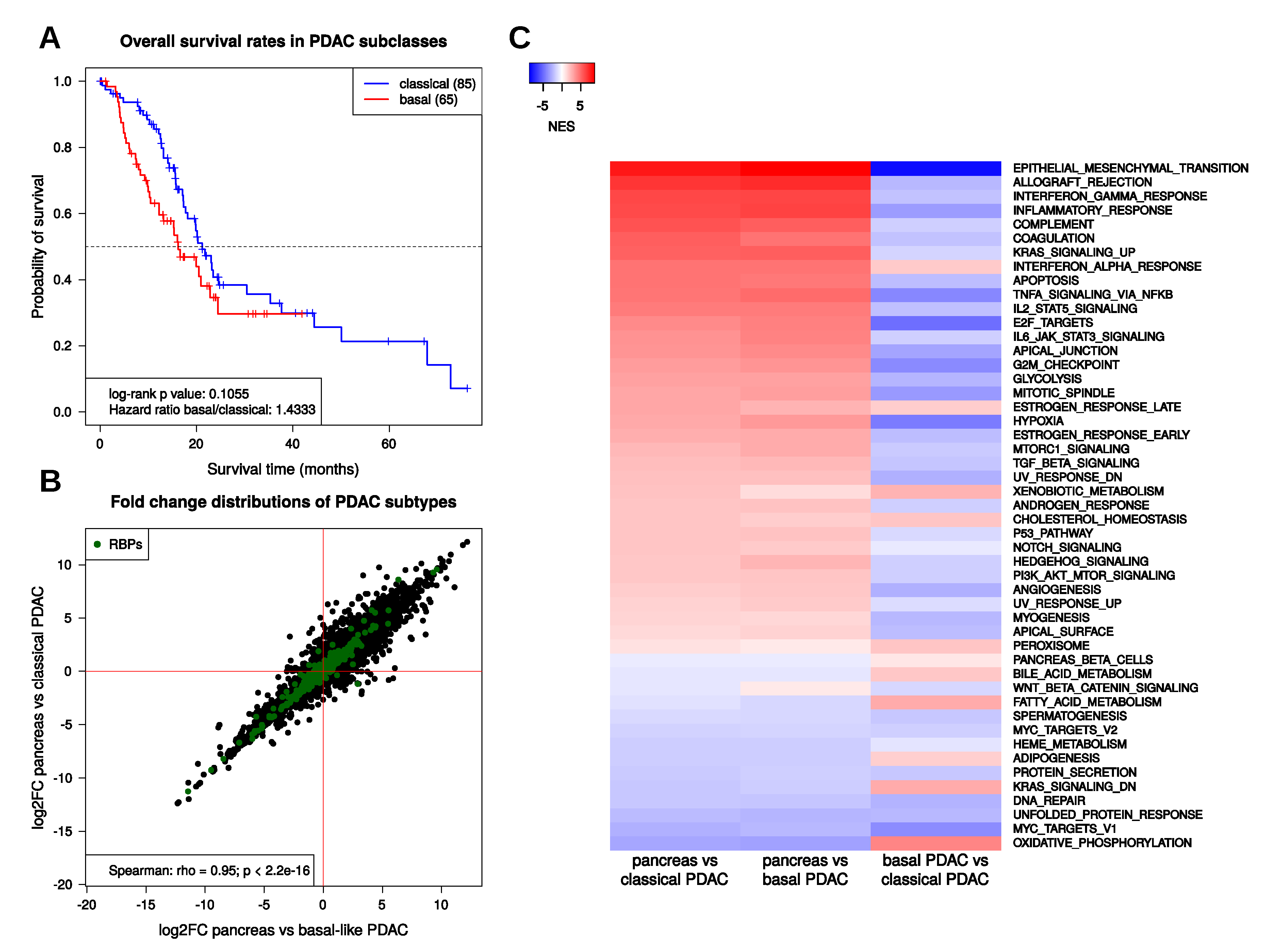 Ijms 21 04190 g002 Ijms 21 04190 g002
