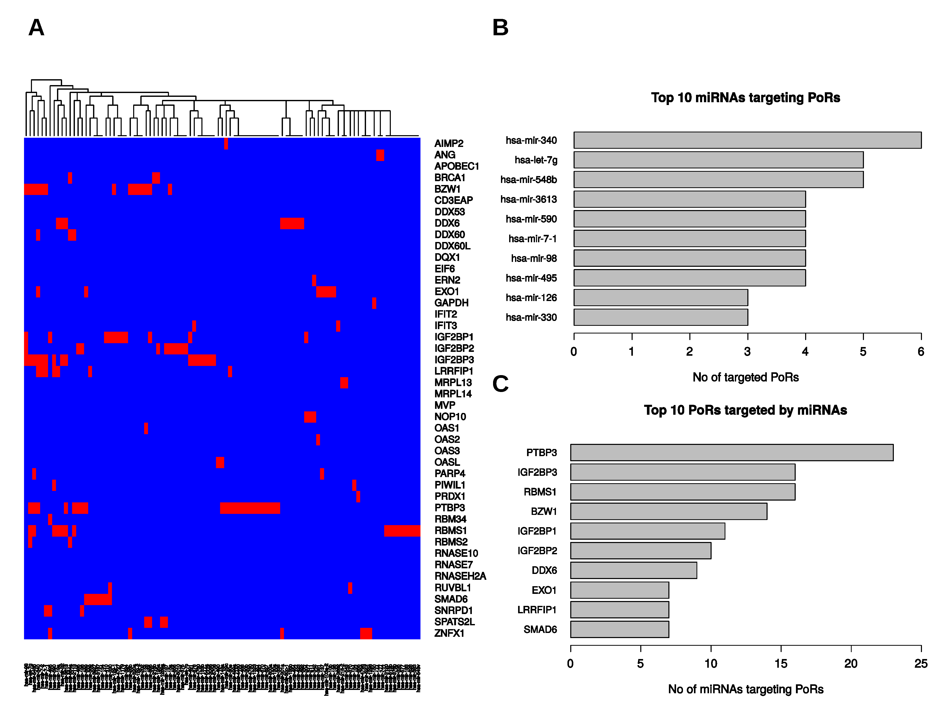 Ijms 21 04190 g005 Ijms 21 04190 g005