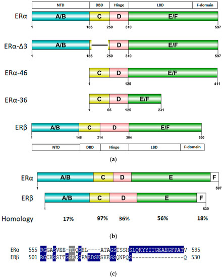 Computer-Aided Ligand Discovery for Estrogen Receptor Alpha
