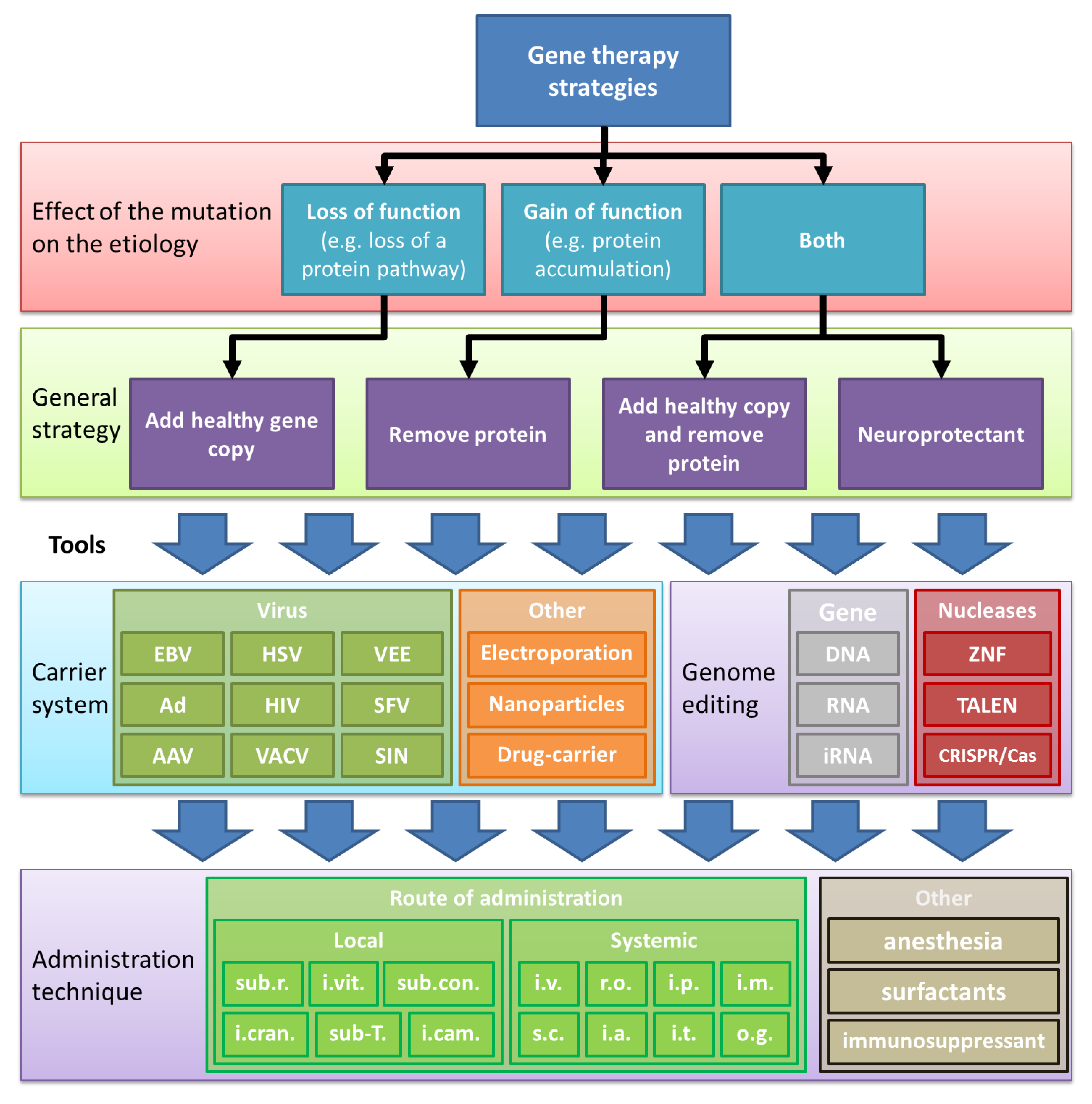 Ijms 21 04197 g001 Ijms 21 04197 g001
