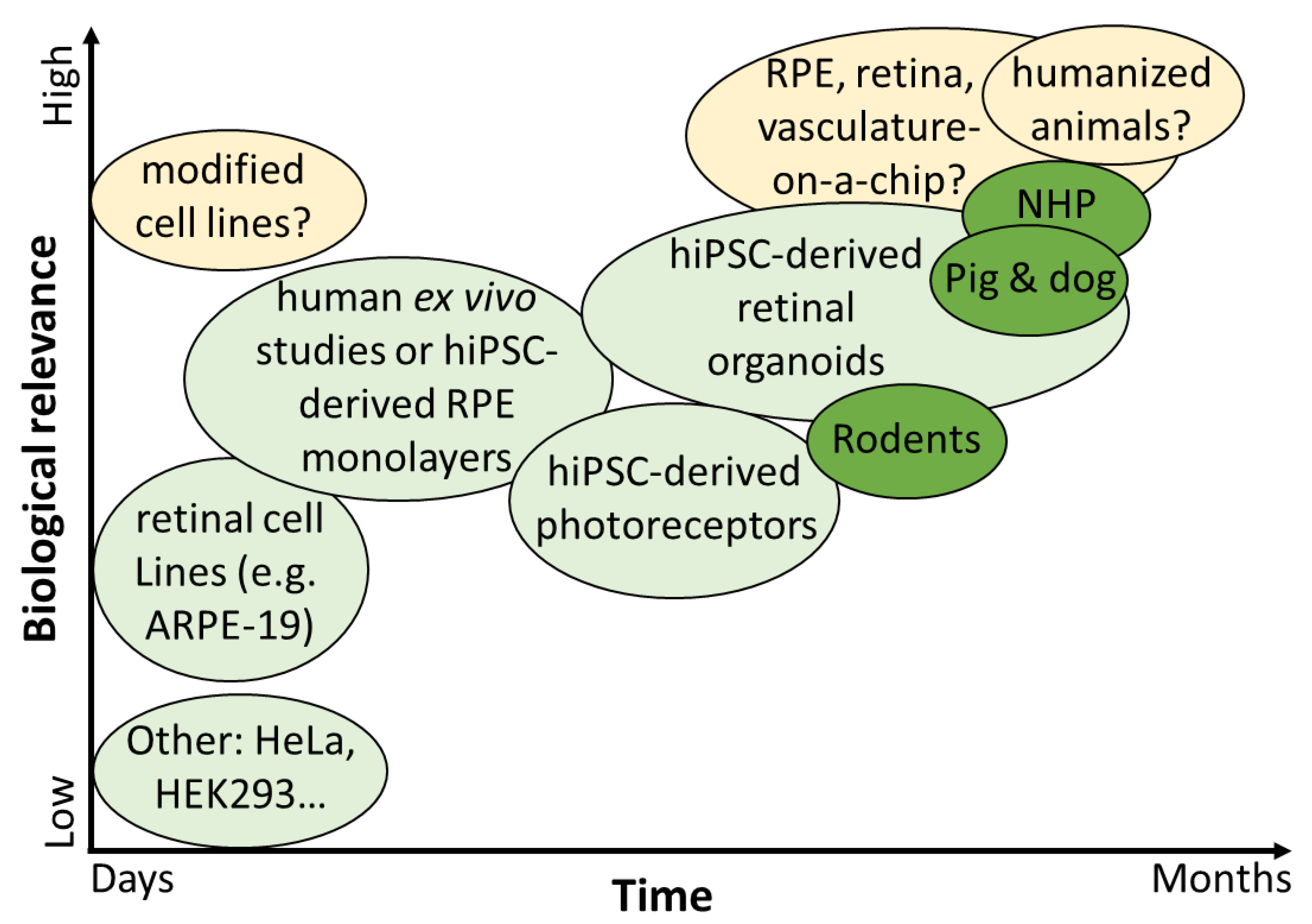 Ijms 21 04197 g006 Ijms 21 04197 g006