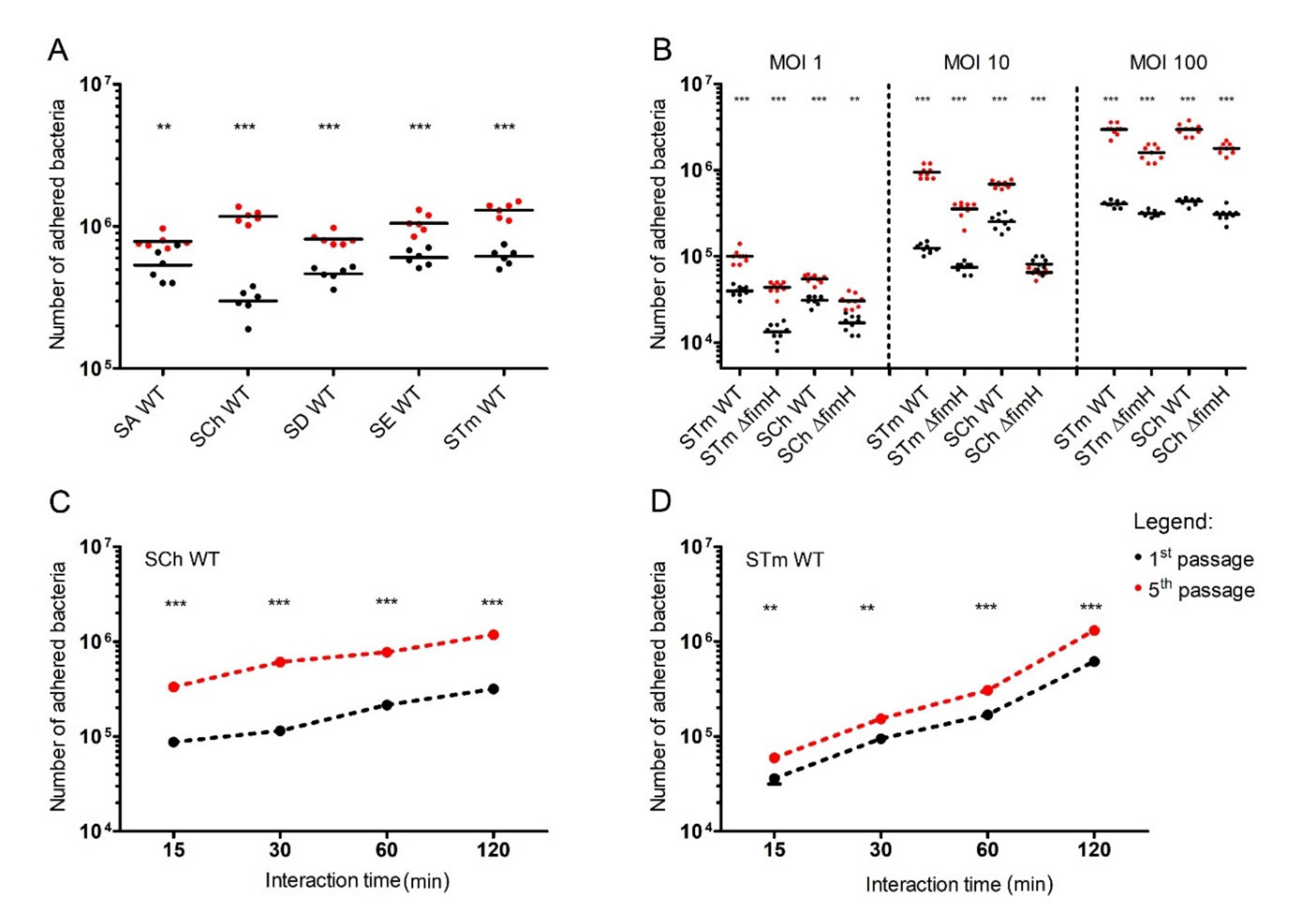 Ijms 21 04206 g001 Ijms 21 04206 g001