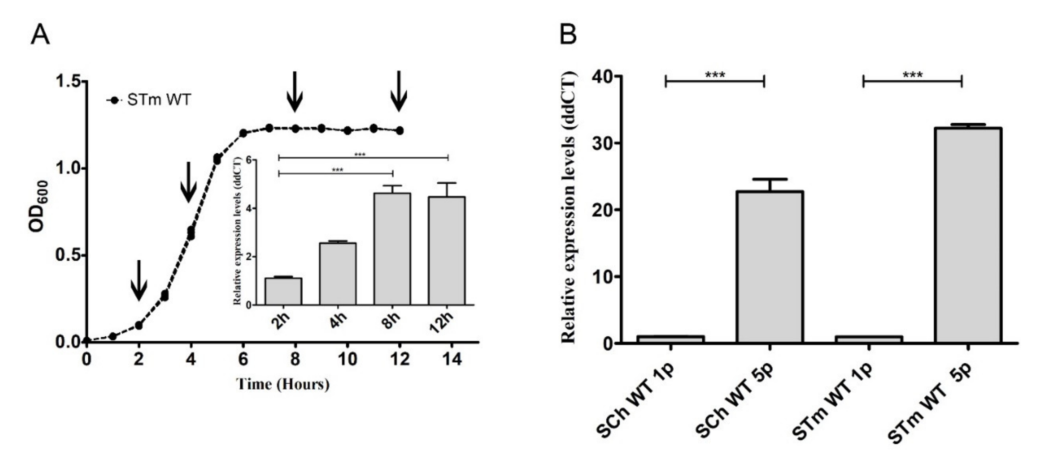 Ijms 21 04206 g002 Ijms 21 04206 g002