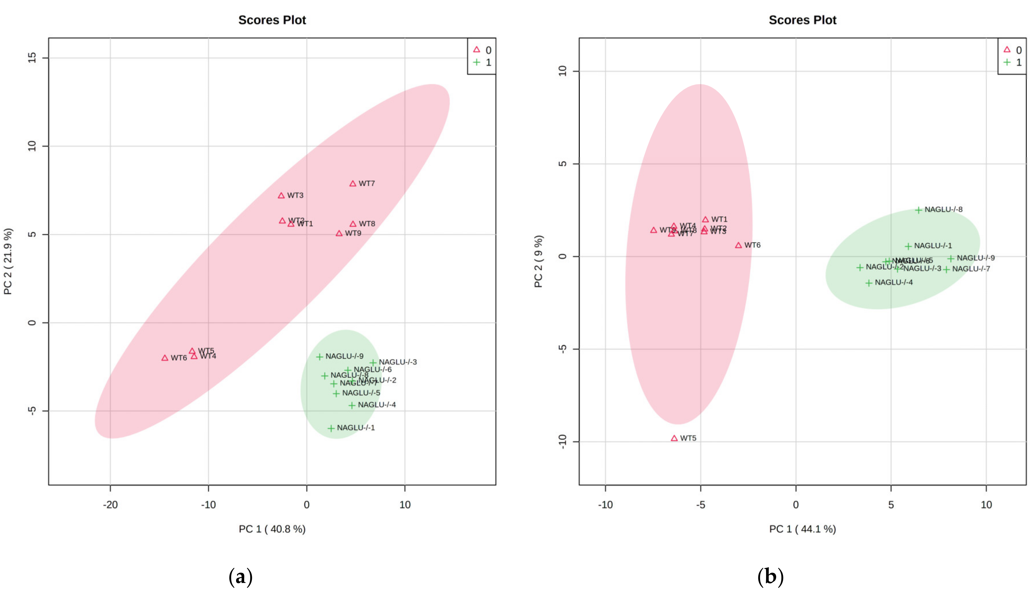 Ijms 21 04211 g002 Ijms 21 04211 g002