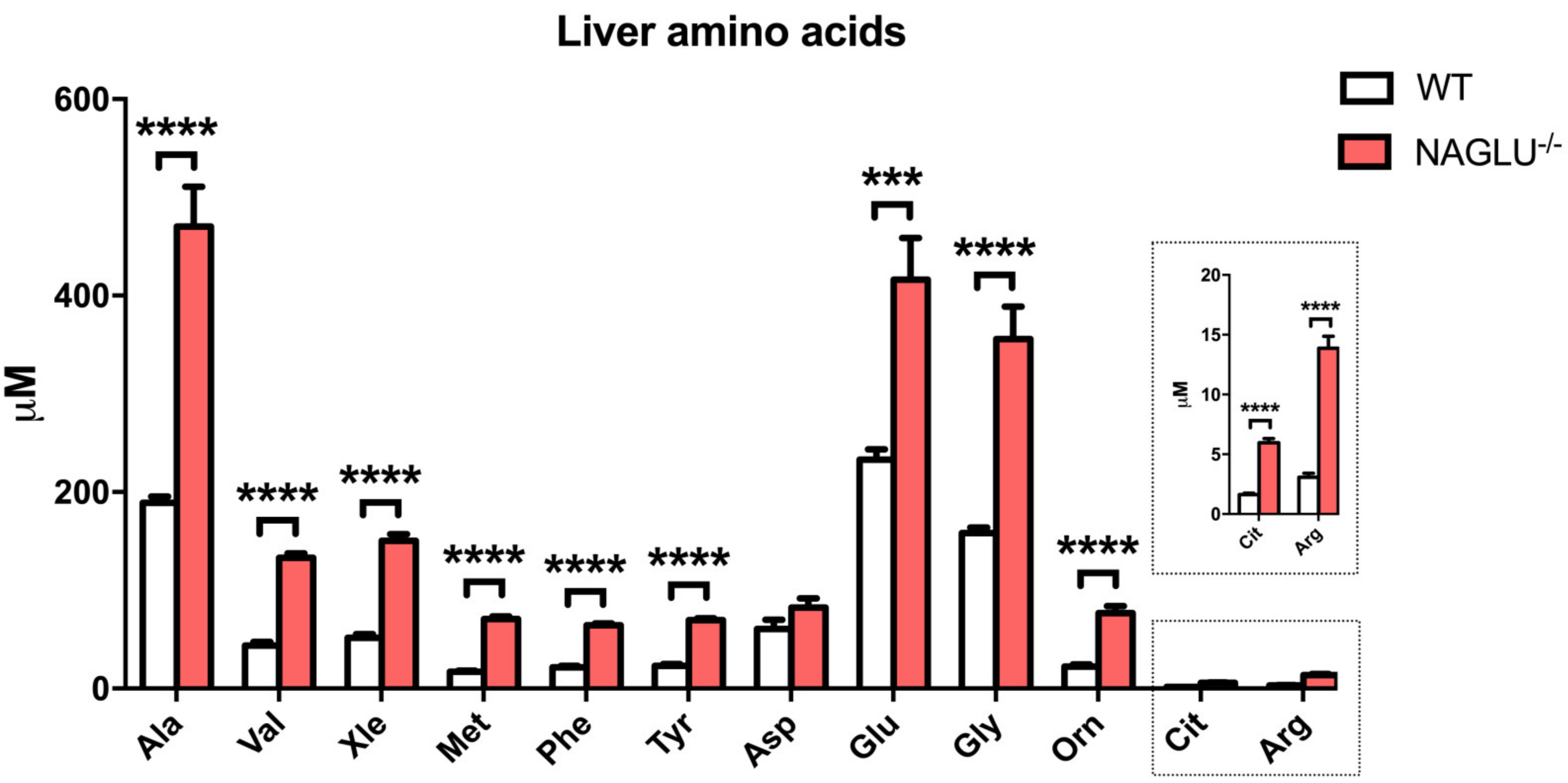 Ijms 21 04211 g005 Ijms 21 04211 g005