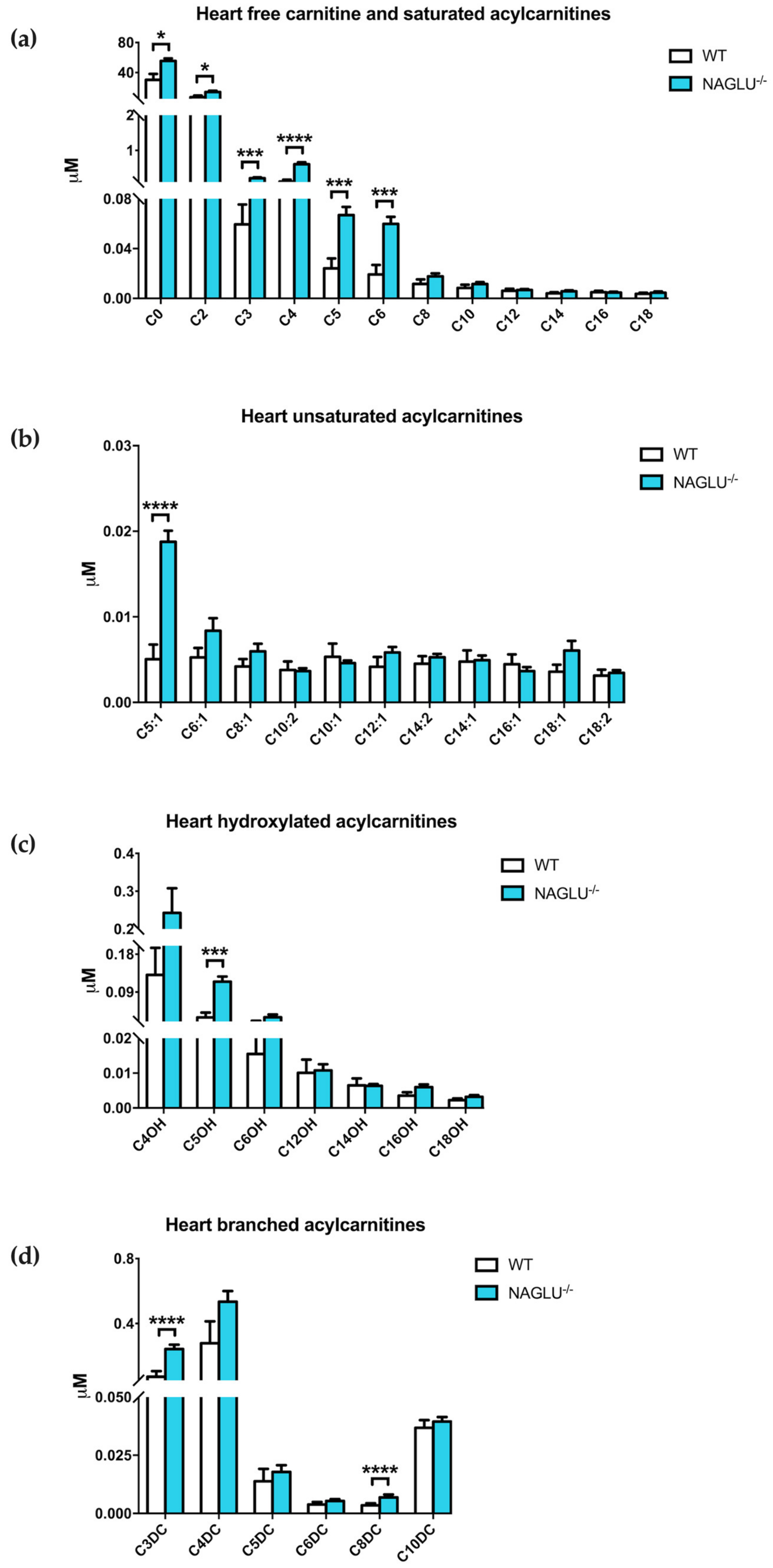 Ijms 21 04211 g006 Ijms 21 04211 g006