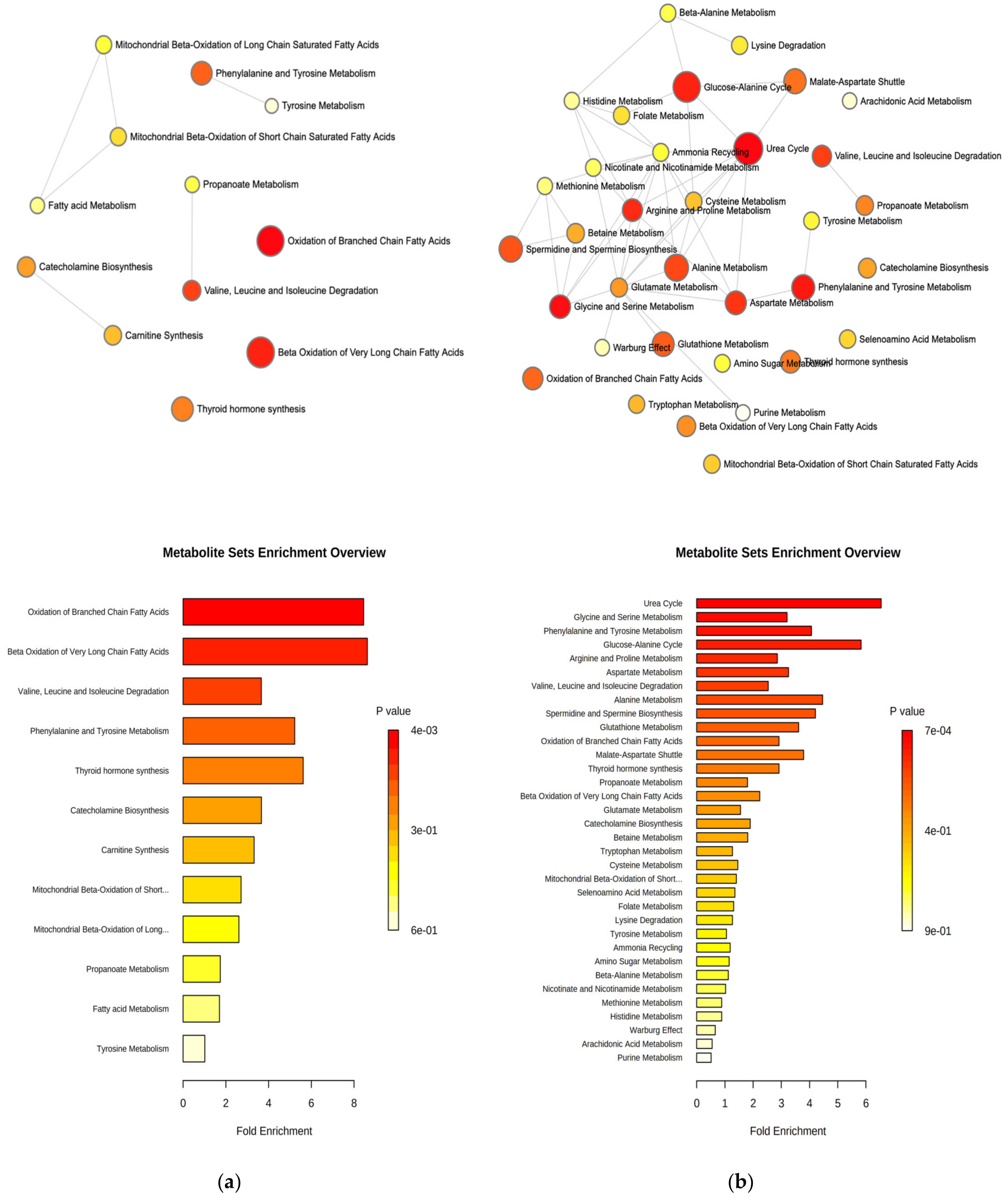 Ijms 21 04211 g008 Ijms 21 04211 g008