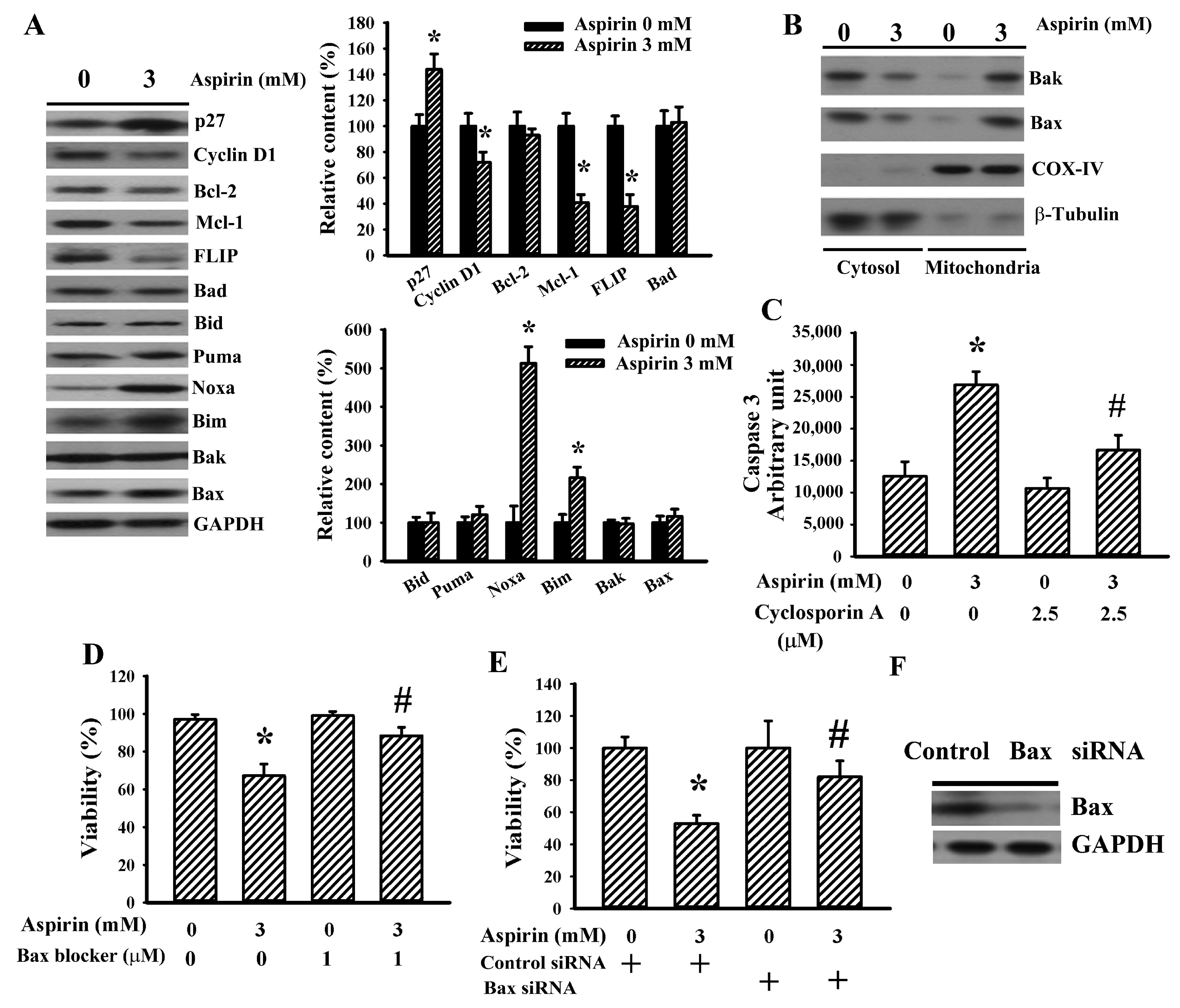 Ijms 21 04219 g002 Ijms 21 04219 g002