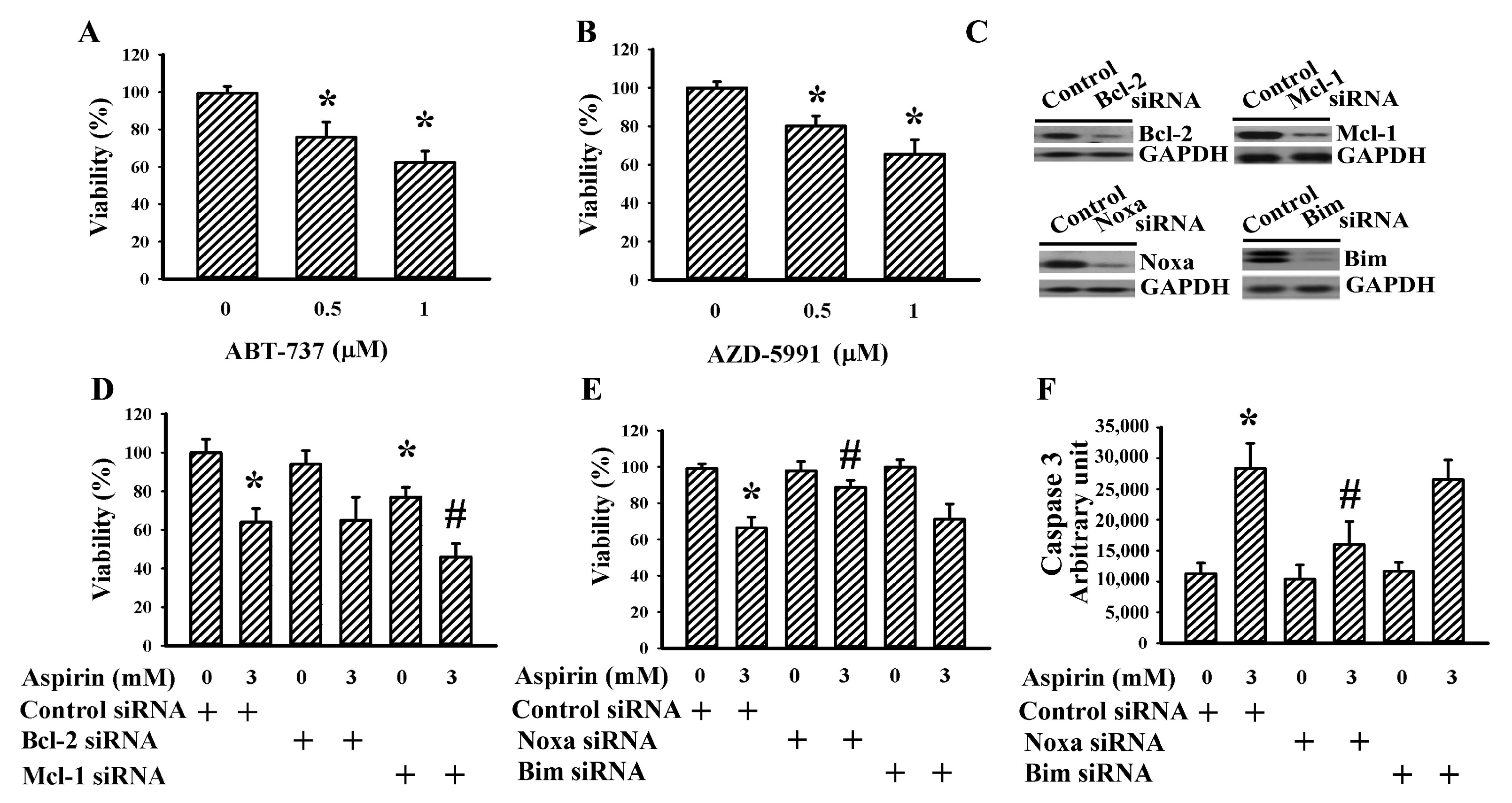 Ijms 21 04219 g003 Ijms 21 04219 g003
