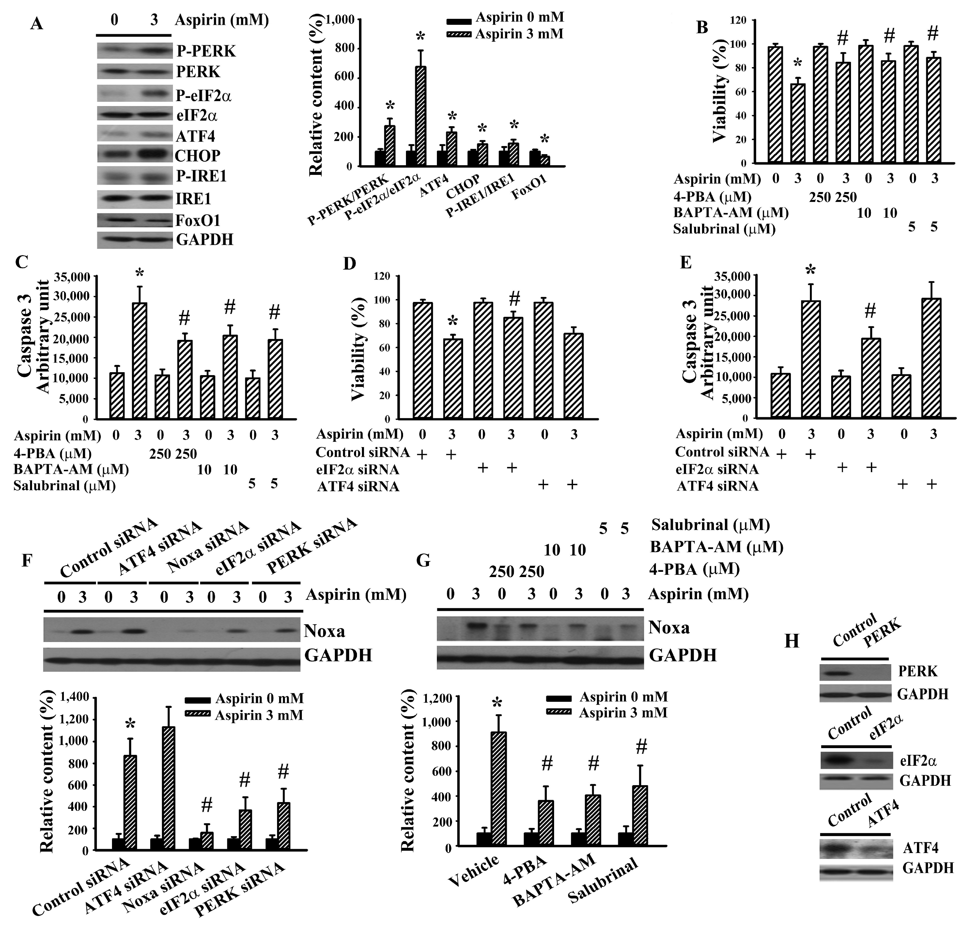 Ijms 21 04219 g004 Ijms 21 04219 g004