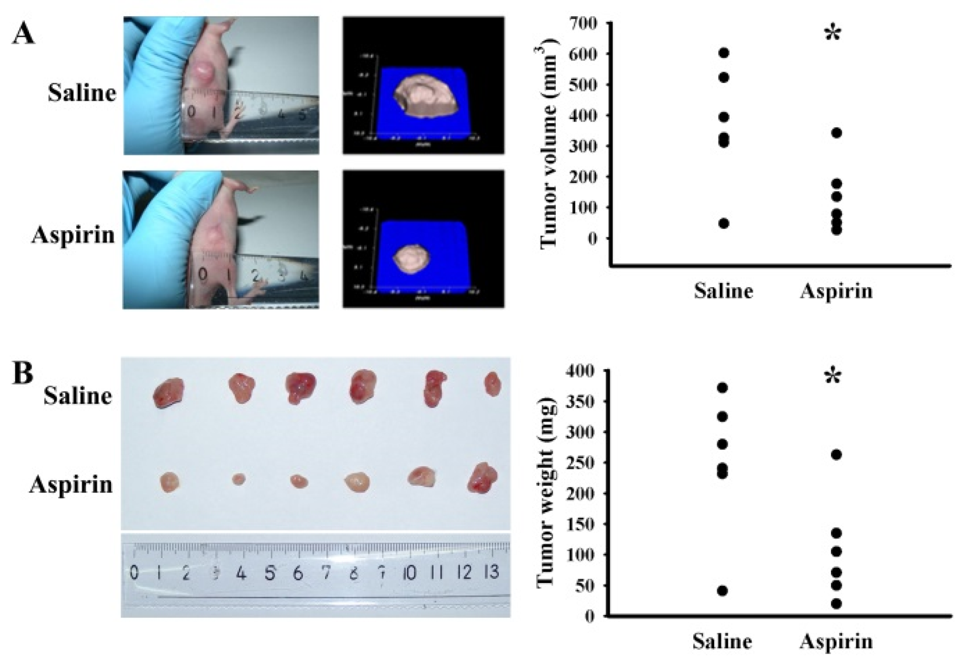 Ijms 21 04219 g006 Ijms 21 04219 g006