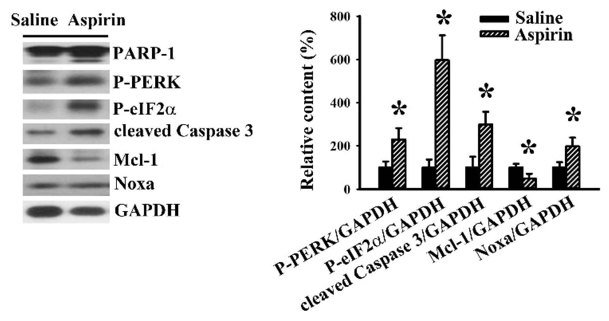 Ijms 21 04219 g007 Ijms 21 04219 g007