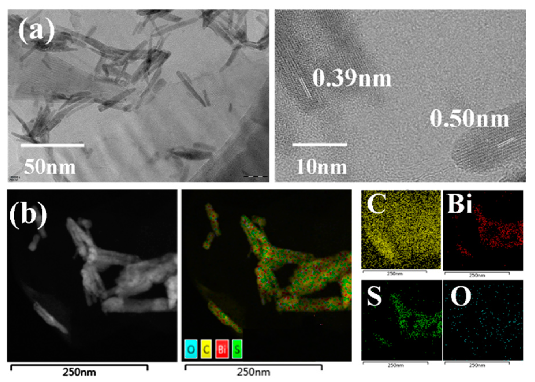 Ijms 21 04224 g002 Ijms 21 04224 g002