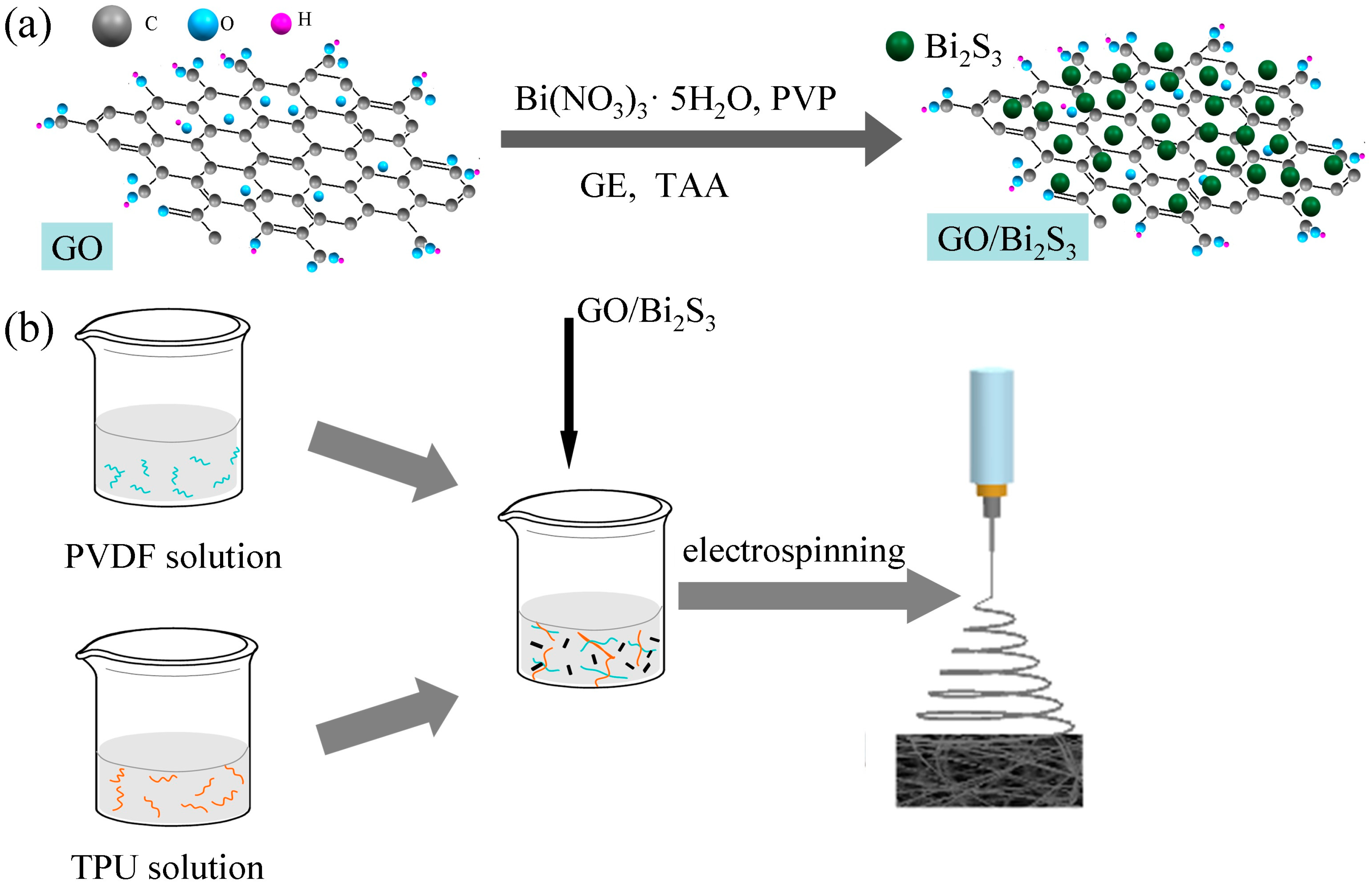 Ijms 21 04224 g009 Ijms 21 04224 g009