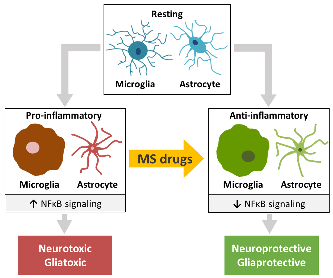IJMS Free FullText Molecular Effects of FDAApproved Multiple