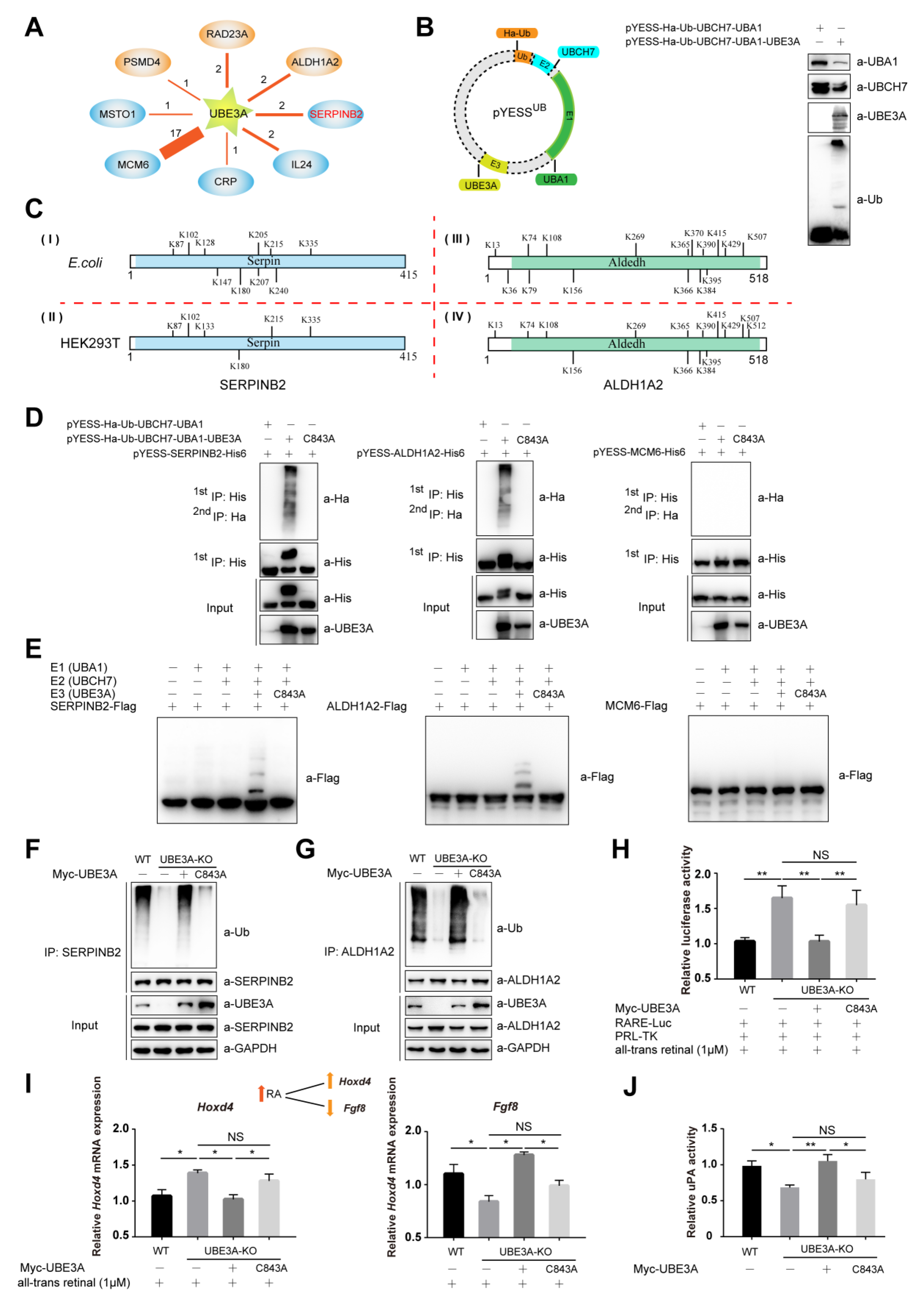Ijms 21 04231 g002 Ijms 21 04231 g002