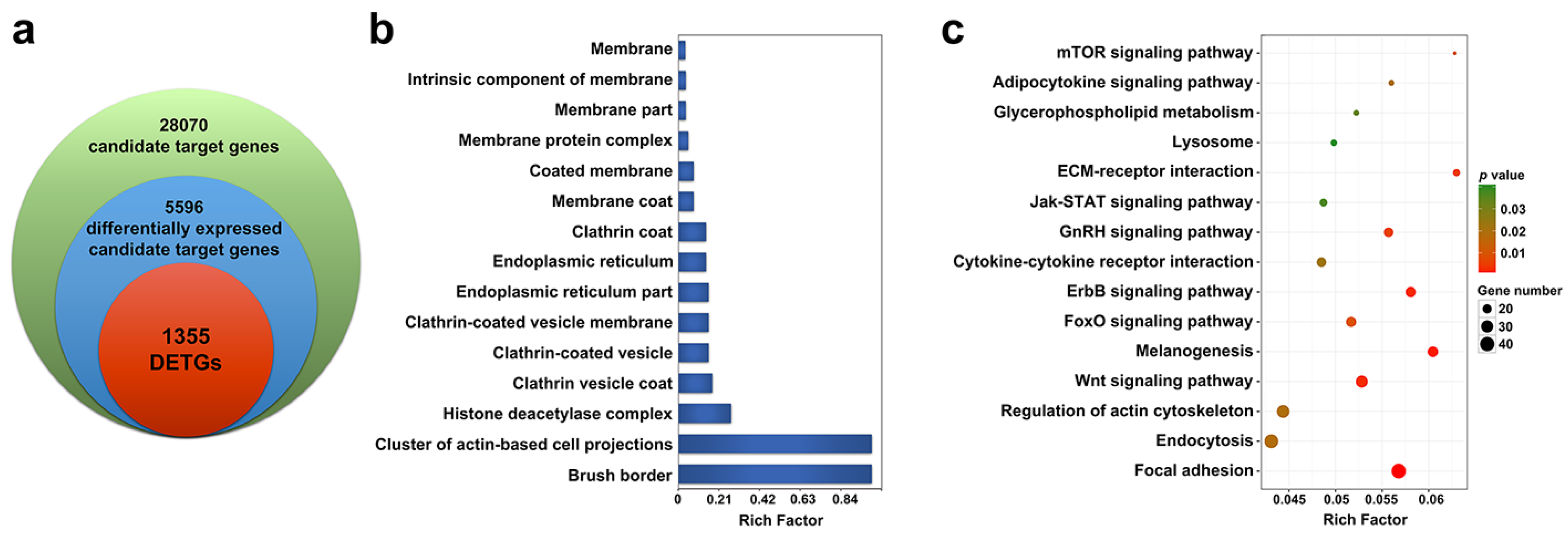 Ijms 21 04252 g004 Ijms 21 04252 g004