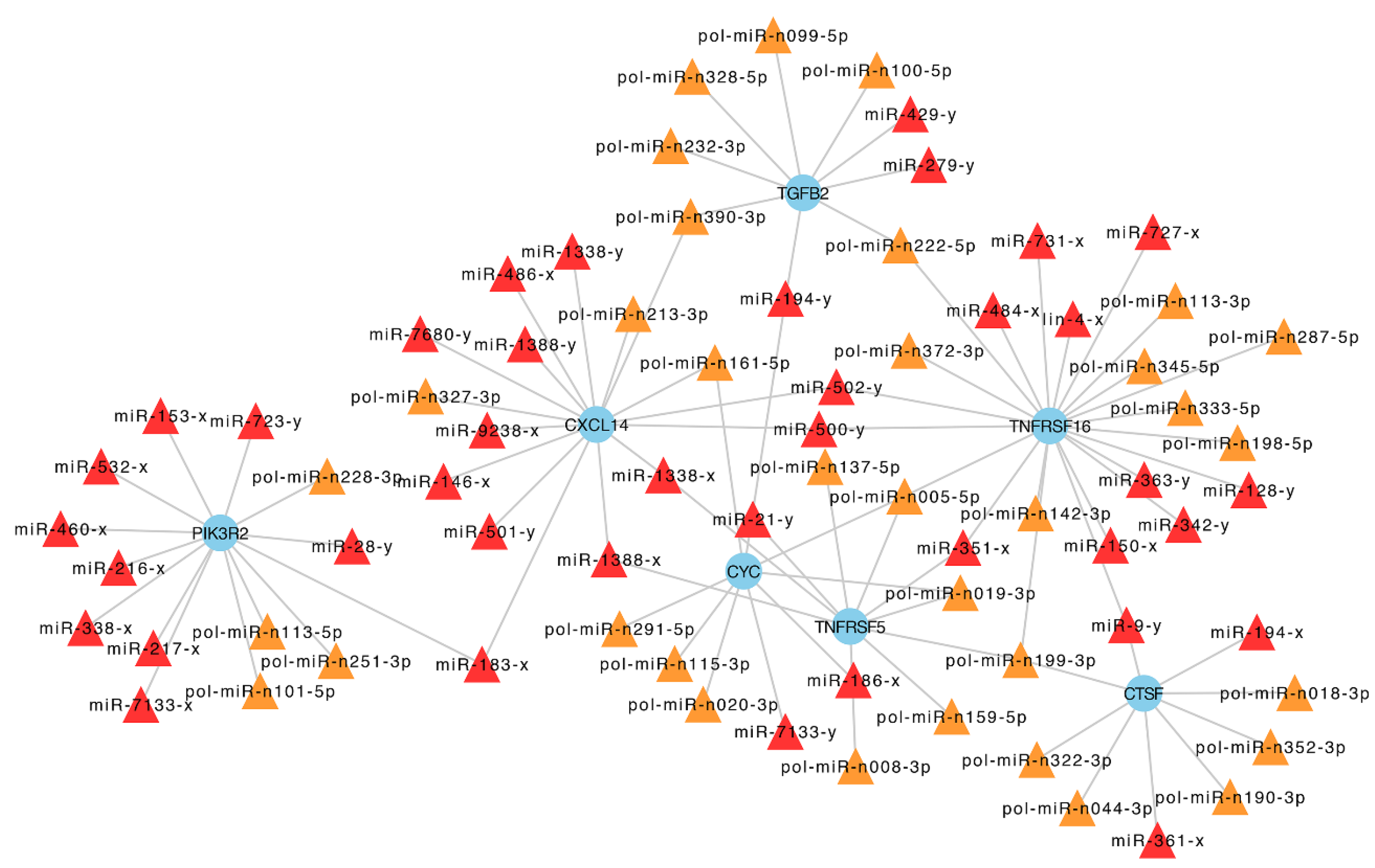 Ijms 21 04252 g007 Ijms 21 04252 g007