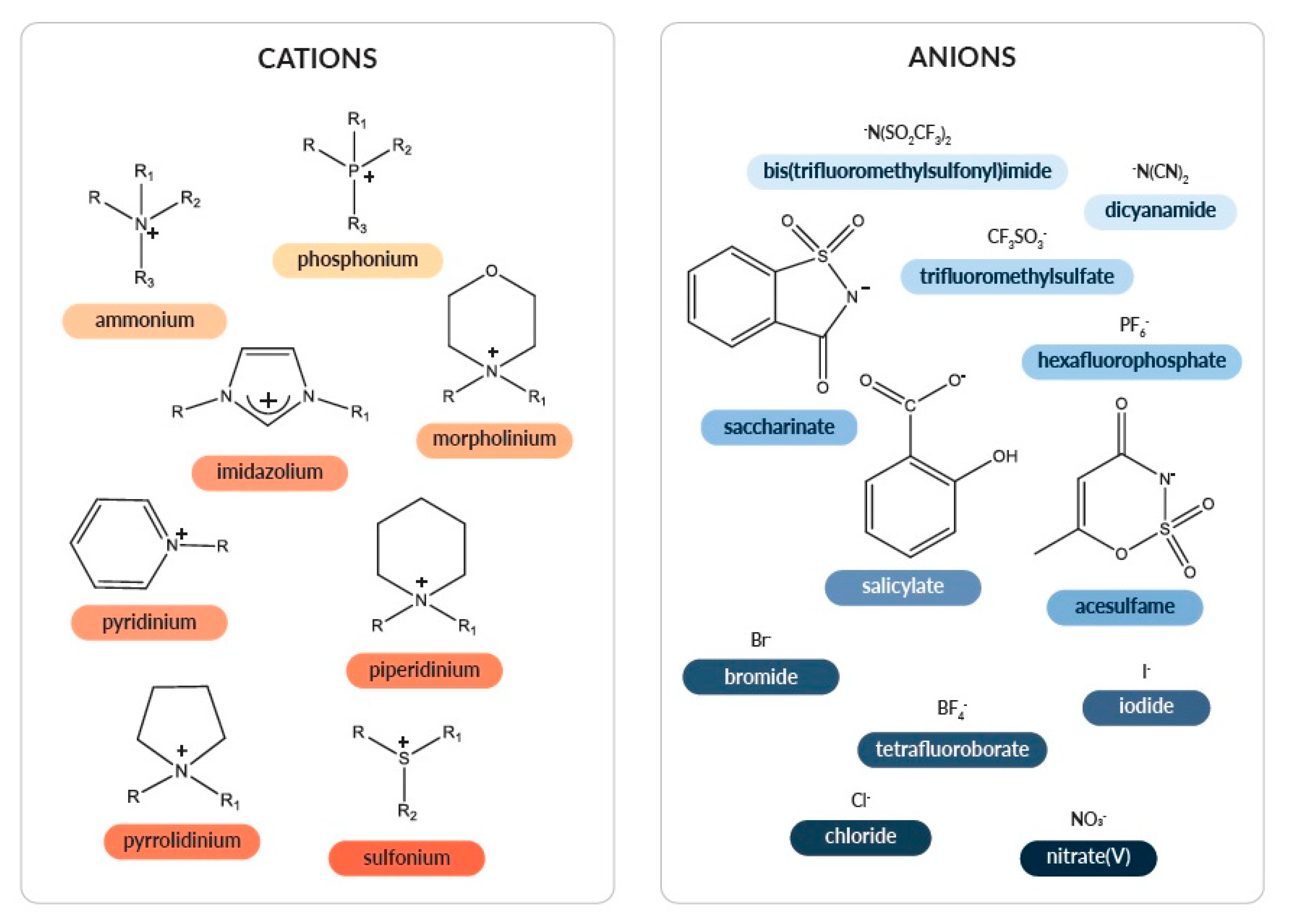 Ijms 21 04253 g002 Ijms 21 04253 g002