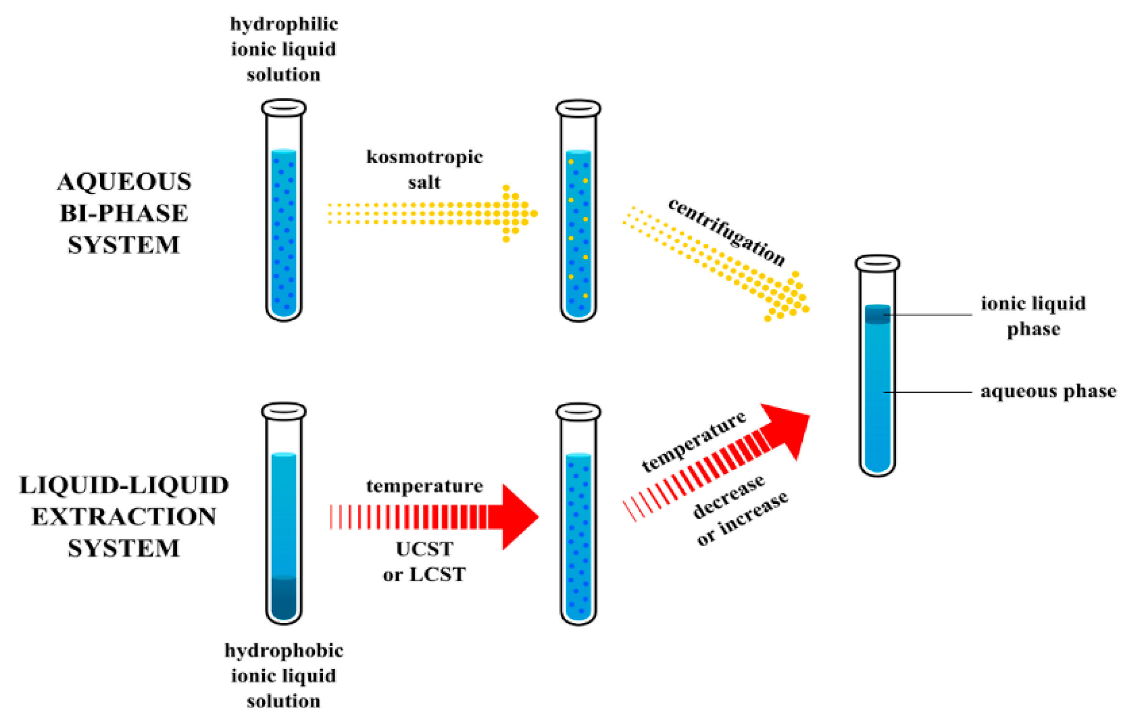 Ijms 21 04253 g004 Ijms 21 04253 g004