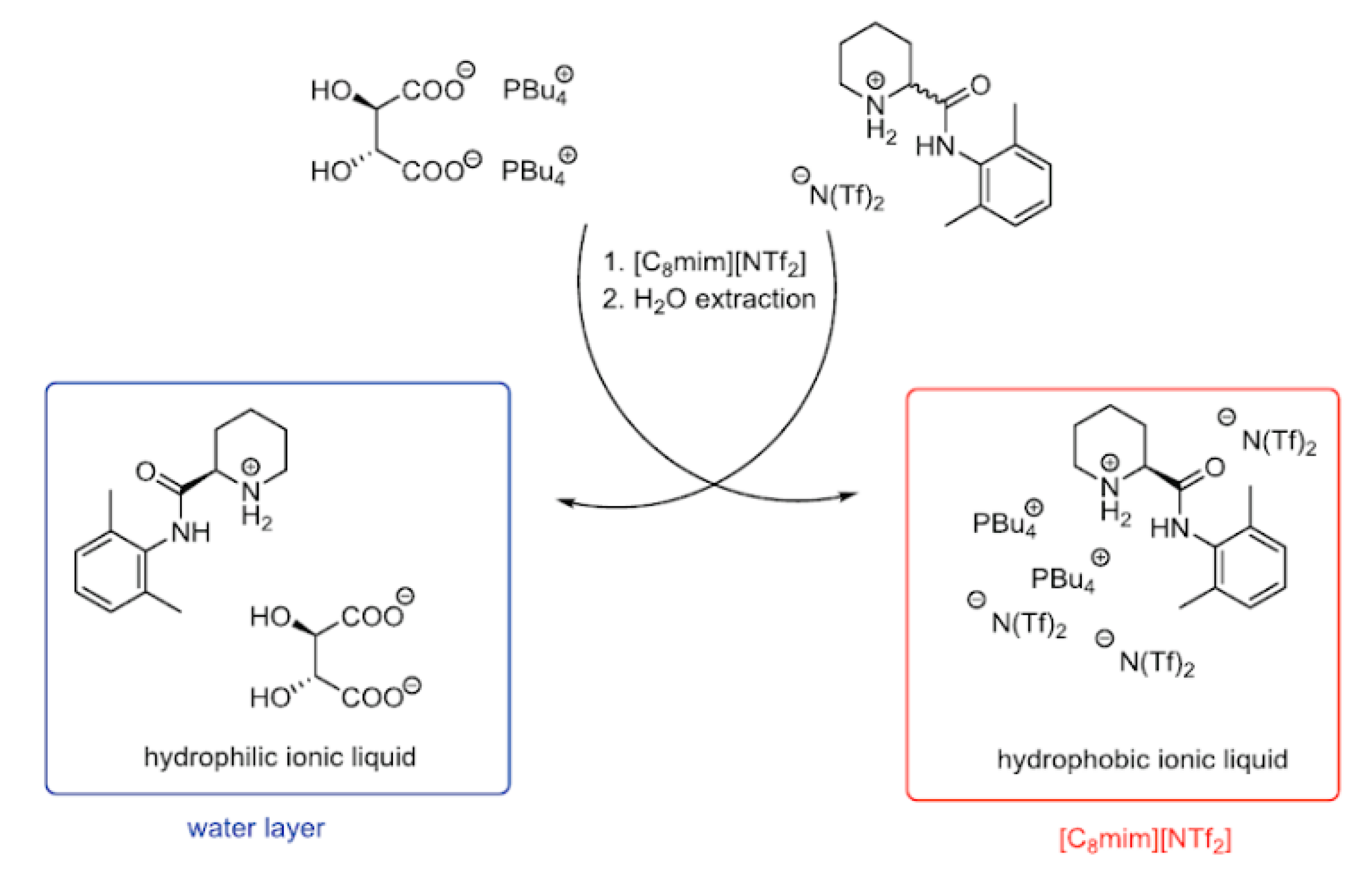 Ijms 21 04253 g009 Ijms 21 04253 g009
