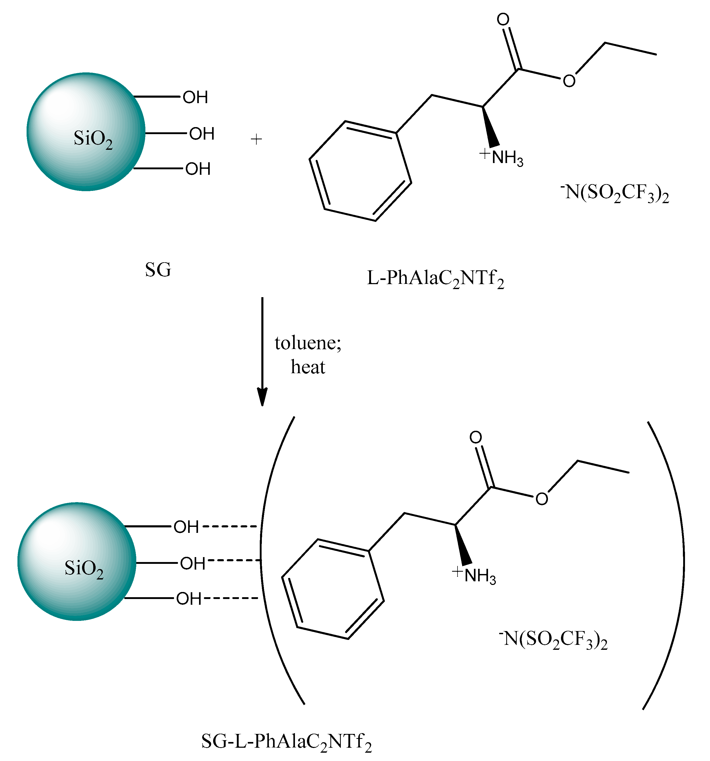 Ijms 21 04253 g010 Ijms 21 04253 g010