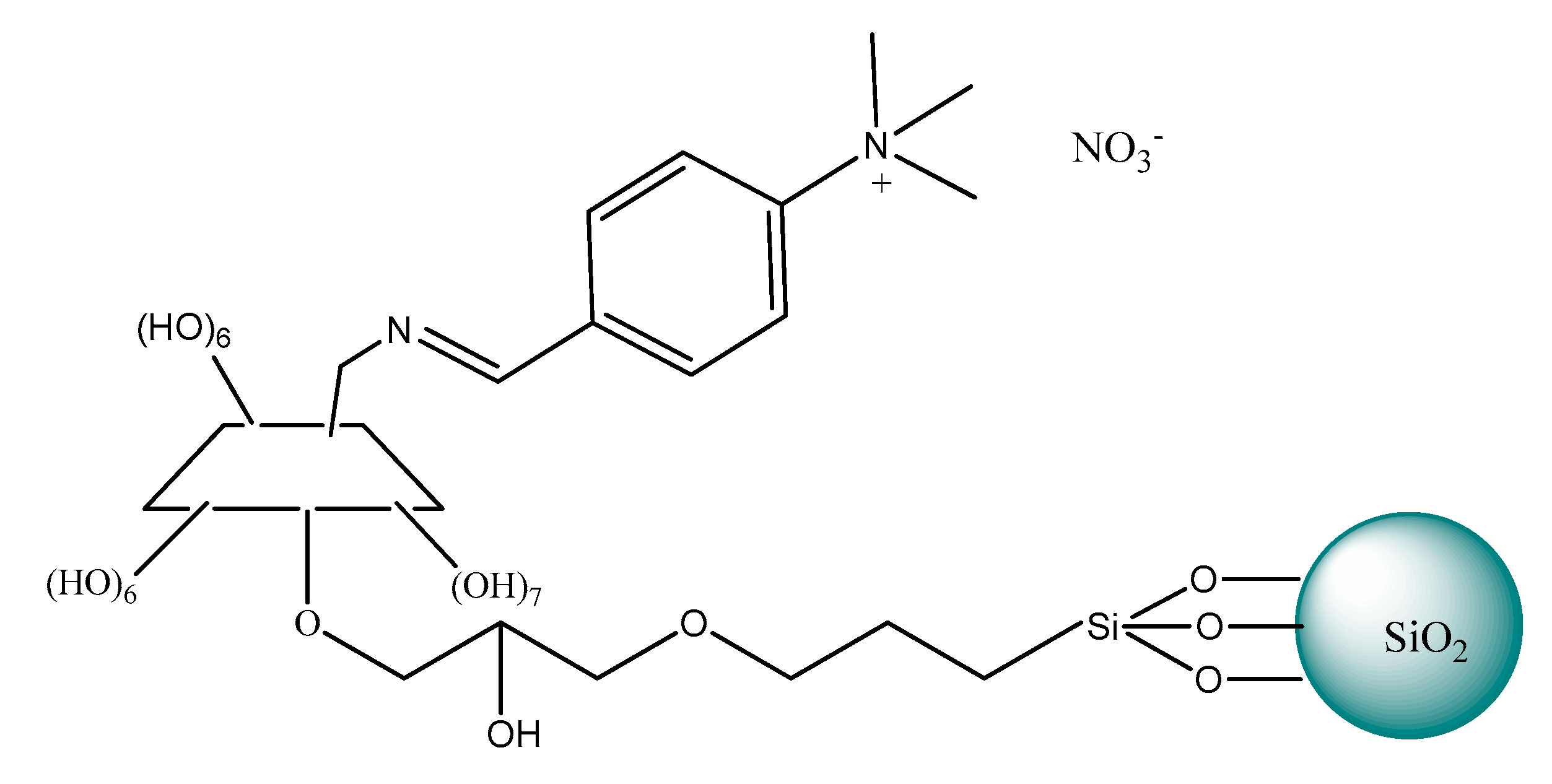 Ijms 21 04253 g015 Ijms 21 04253 g015