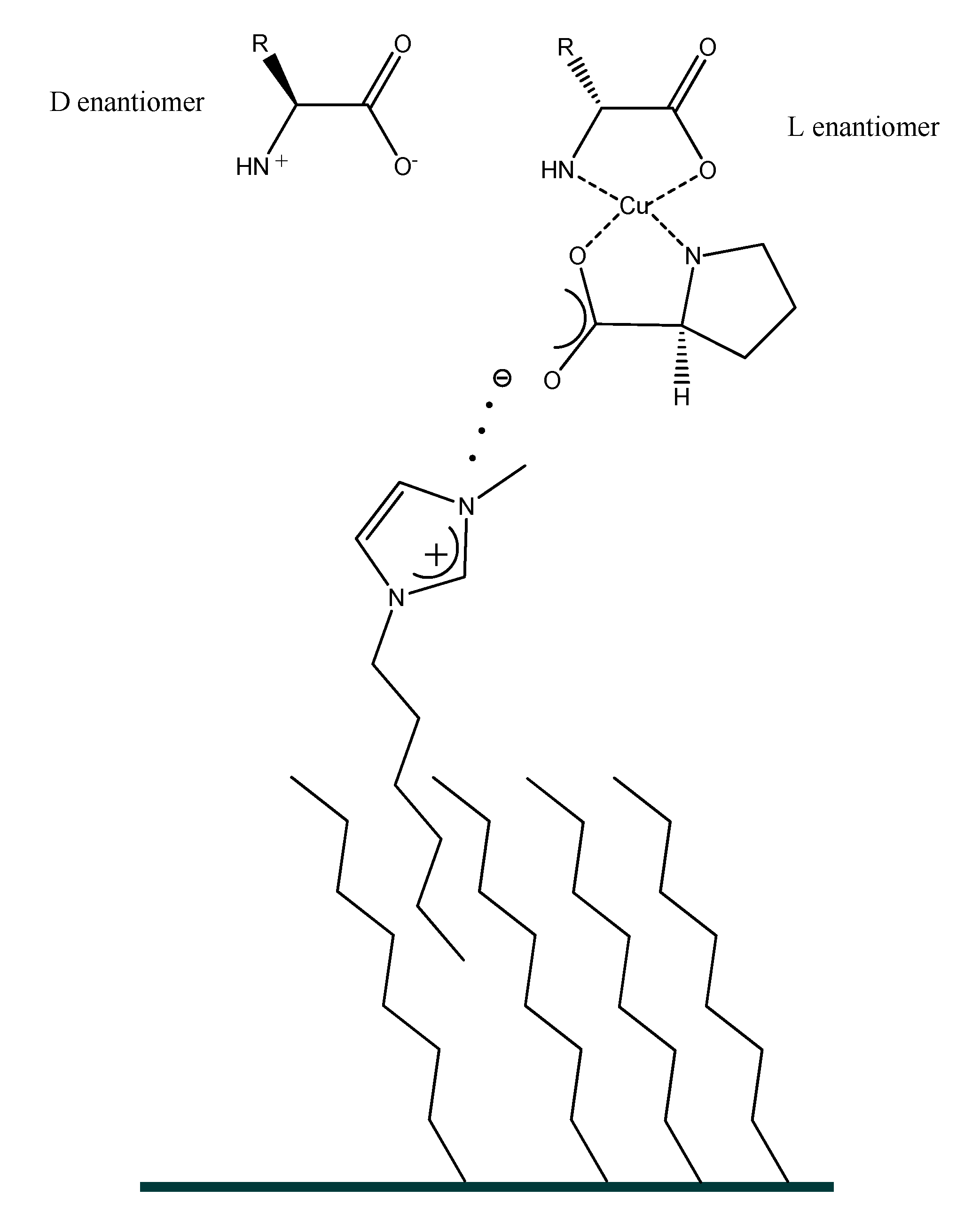 Ijms 21 04253 g017 Ijms 21 04253 g017