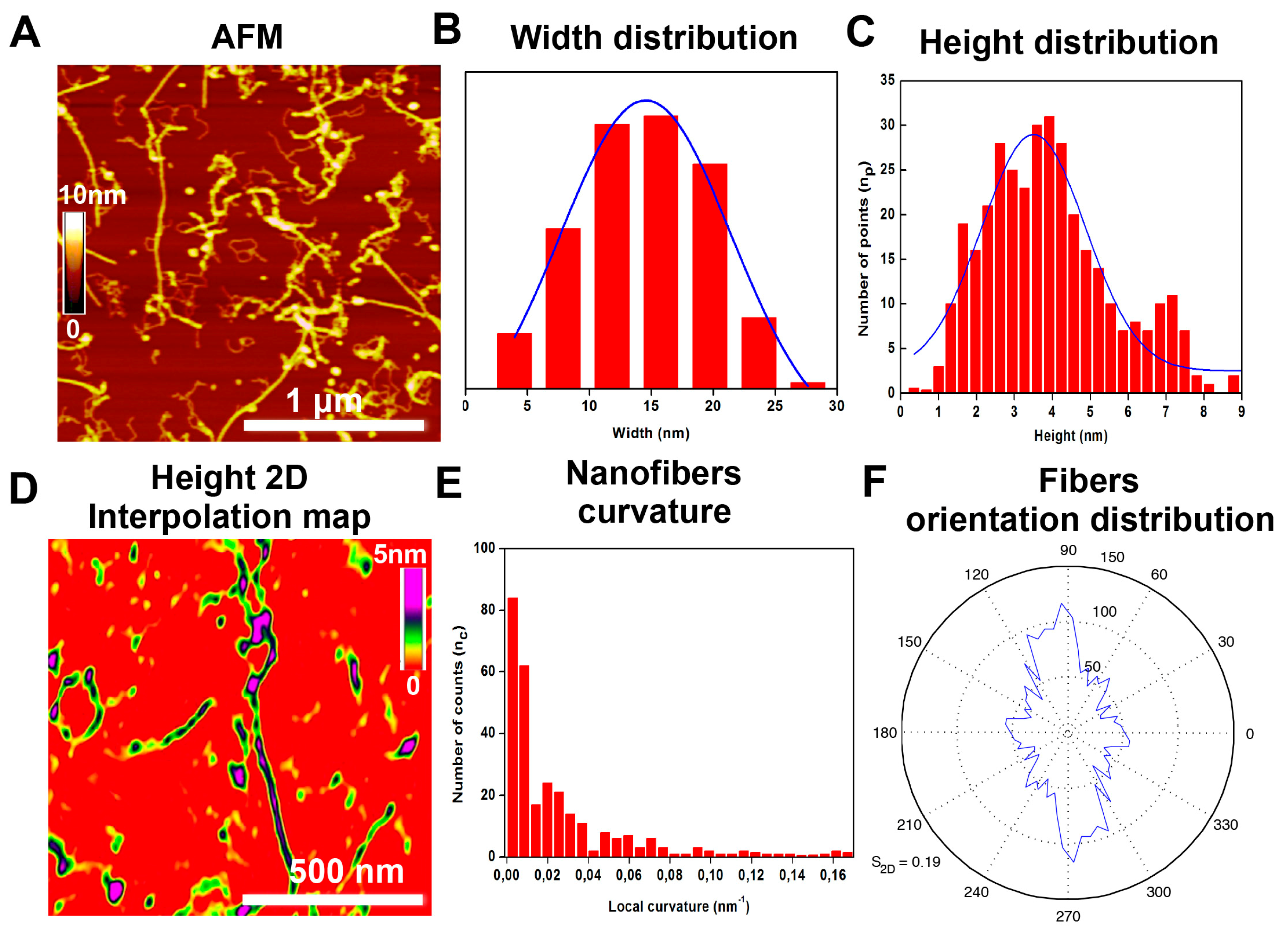 Ijms 21 04261 g004 Ijms 21 04261 g004