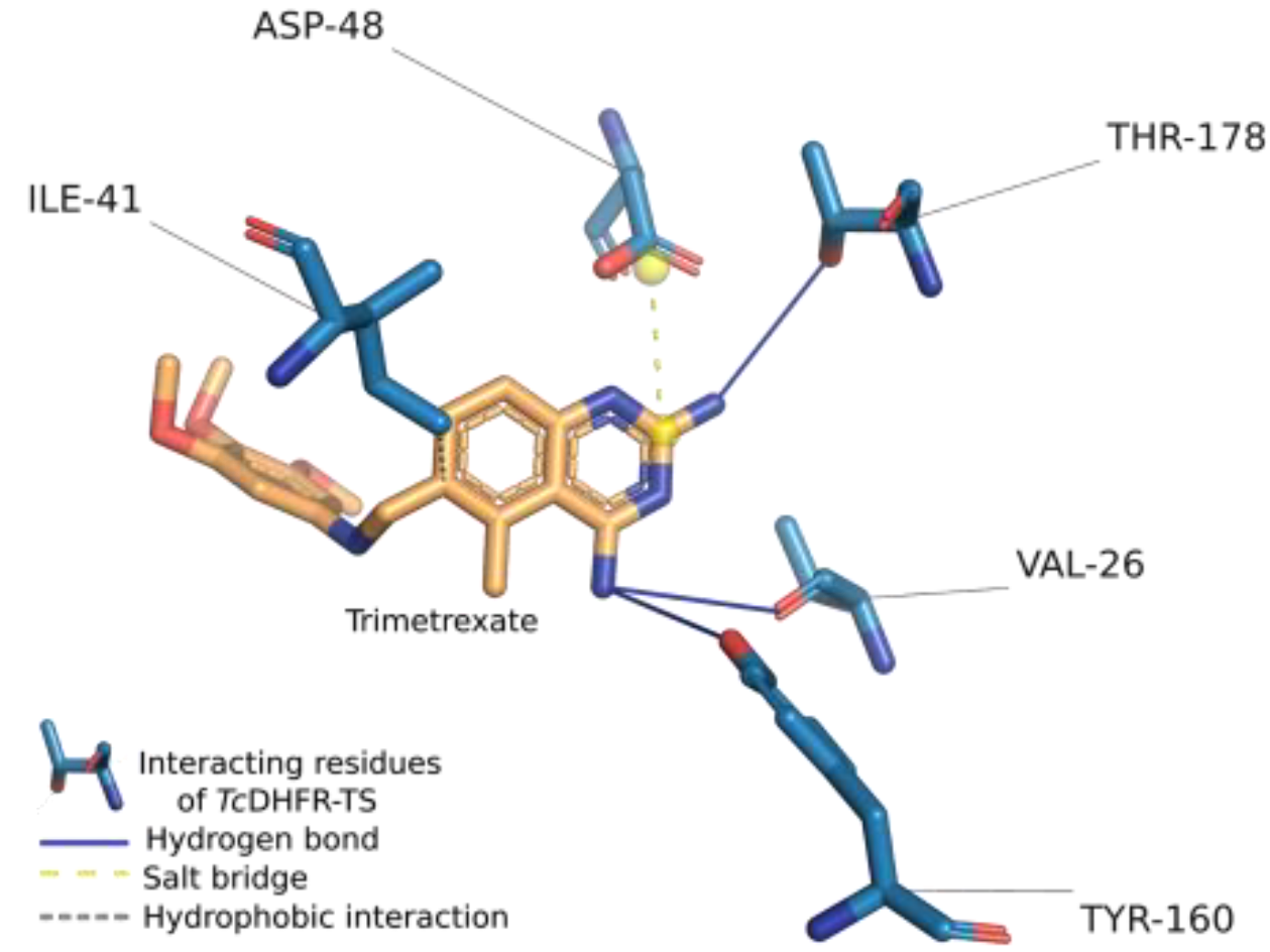 Ijms 21 04270 g001 Ijms 21 04270 g001