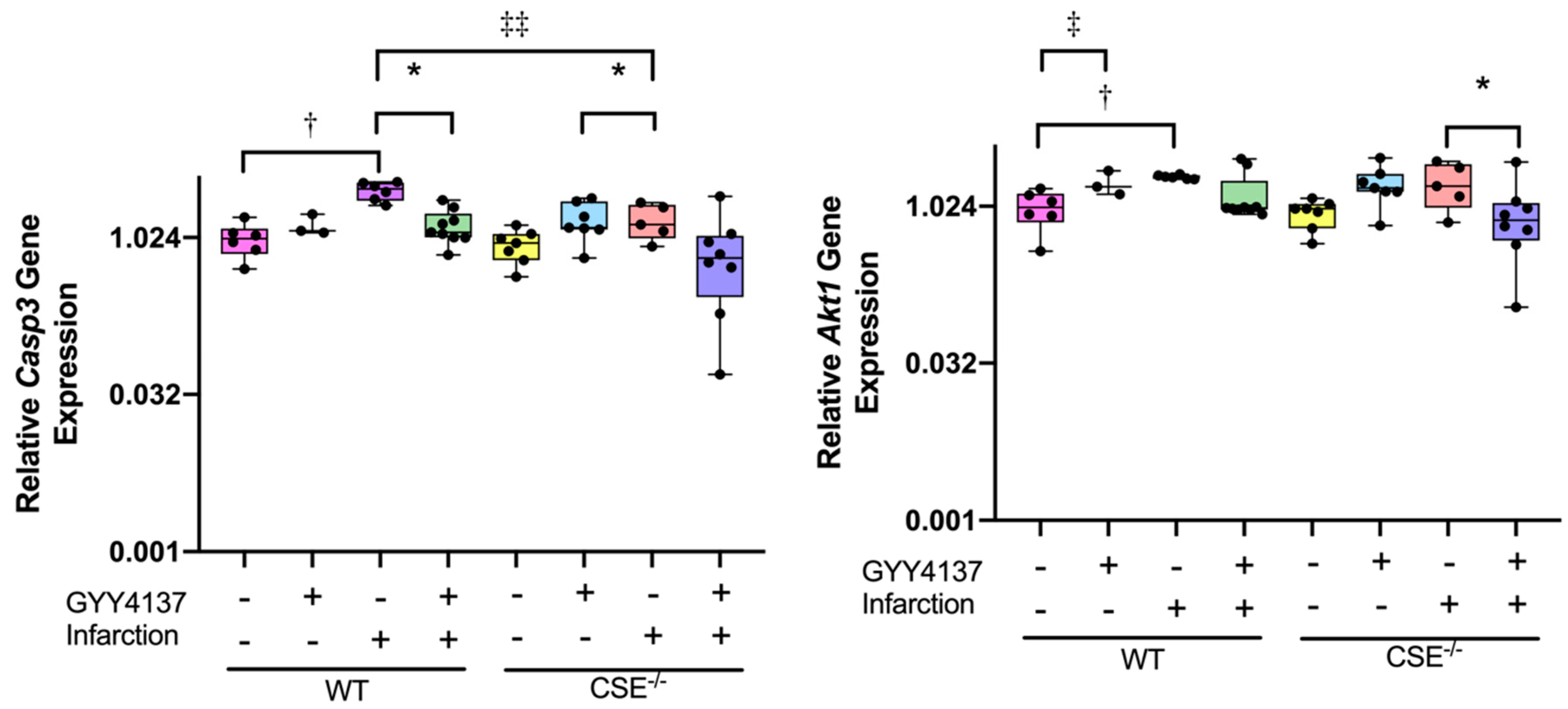 Ijms 21 04284 g003 Ijms 21 04284 g003