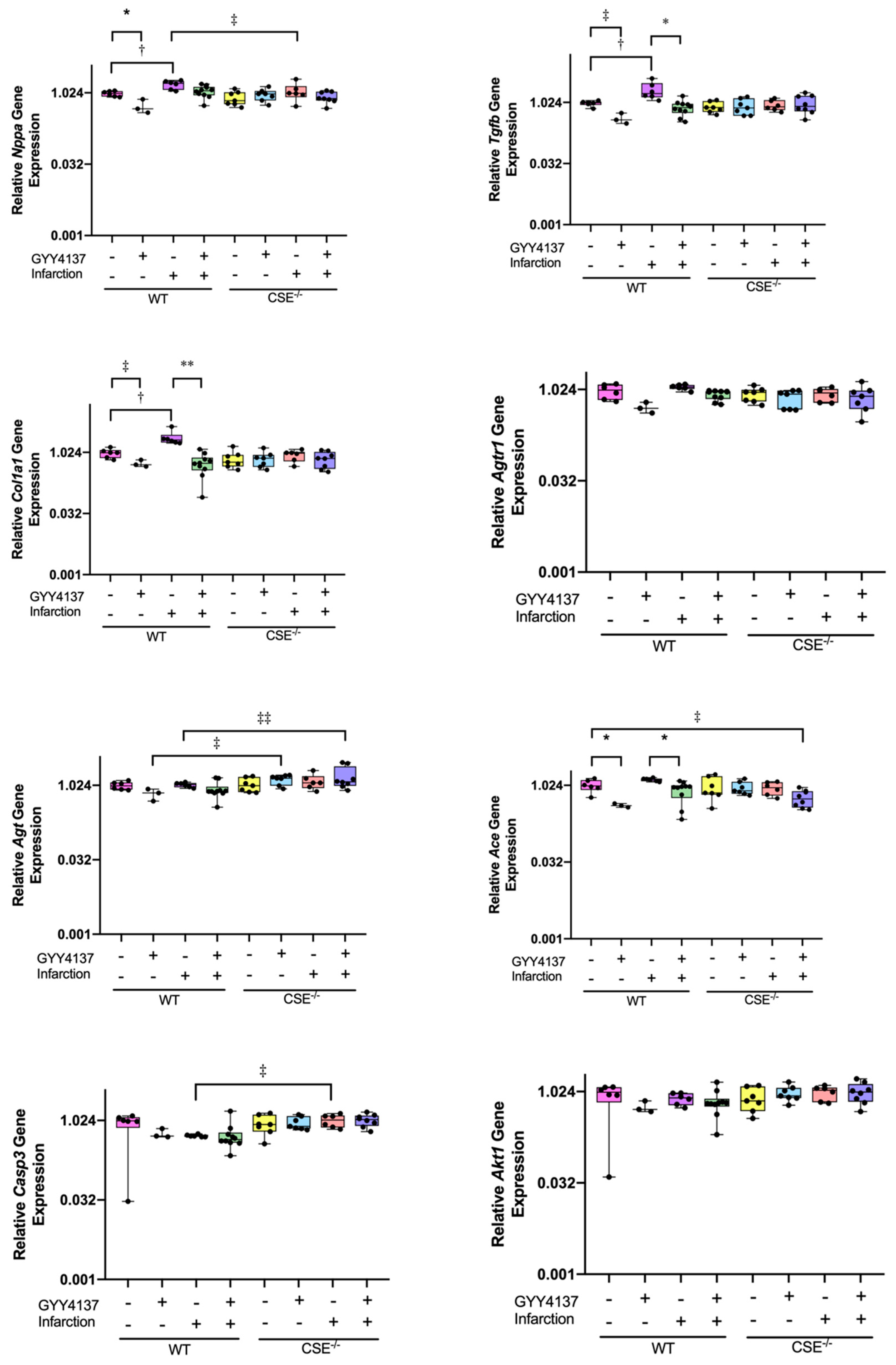 Ijms 21 04284 g006 Ijms 21 04284 g006