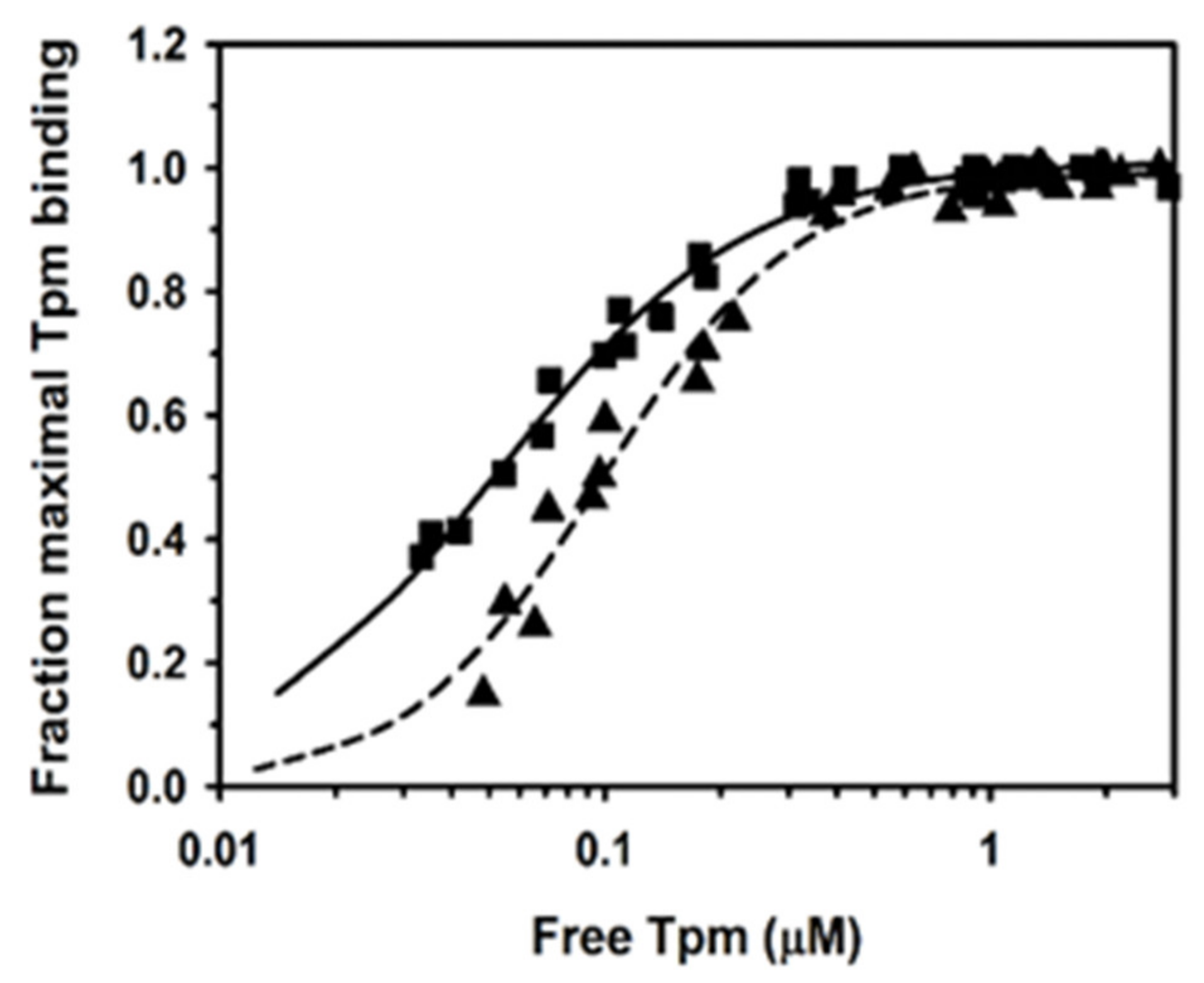 Ijms 21 04285 g001 Ijms 21 04285 g001