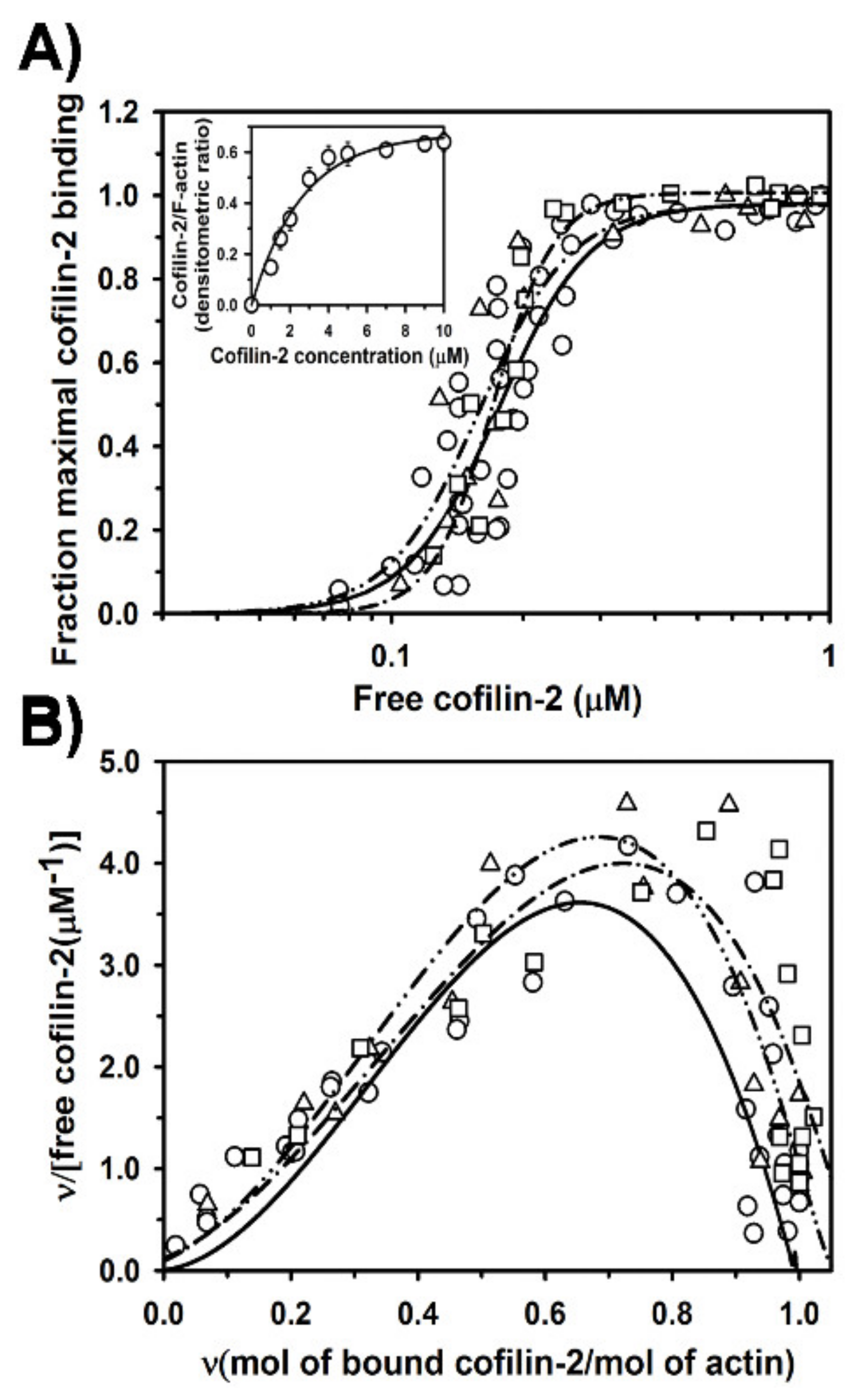 Ijms 21 04285 g002 Ijms 21 04285 g002
