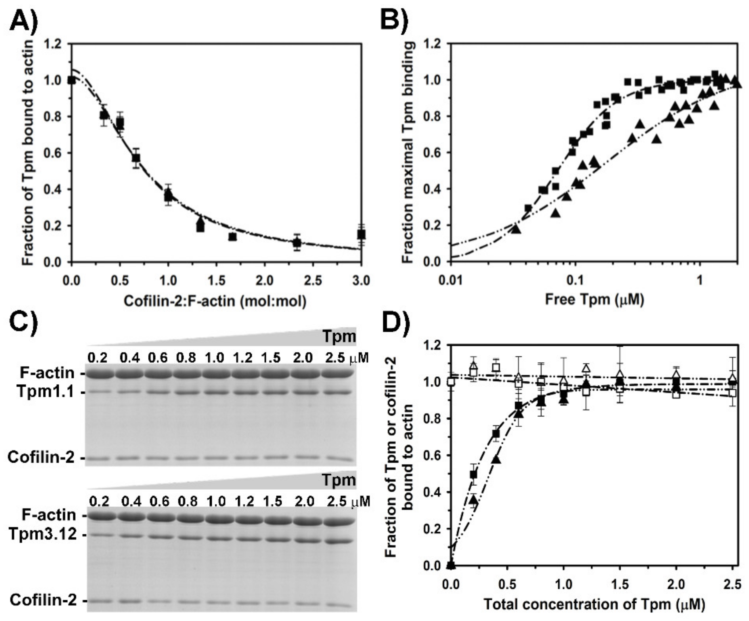 Ijms 21 04285 g003 Ijms 21 04285 g003